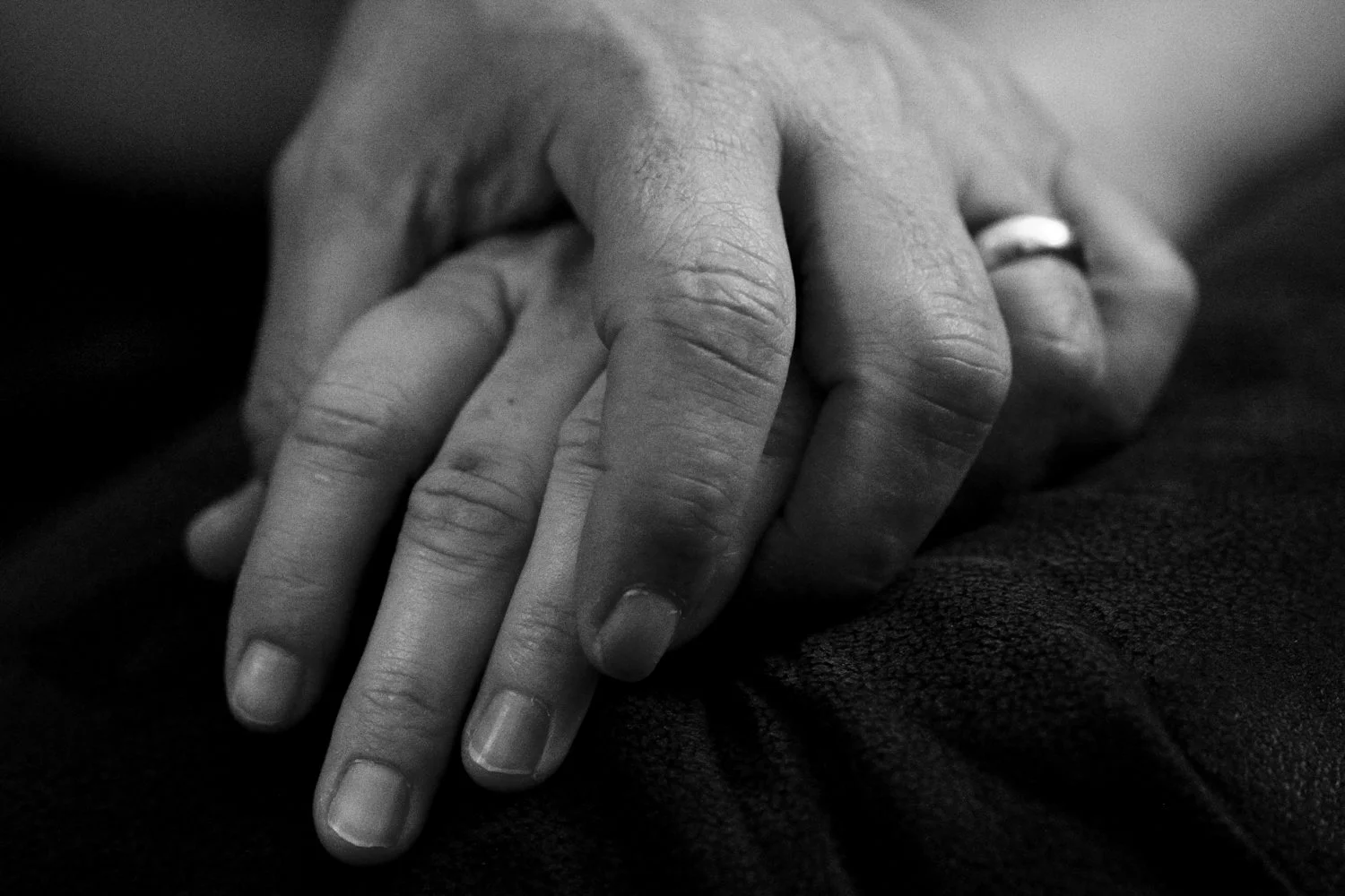 Website x1500 - Web-5.jpg