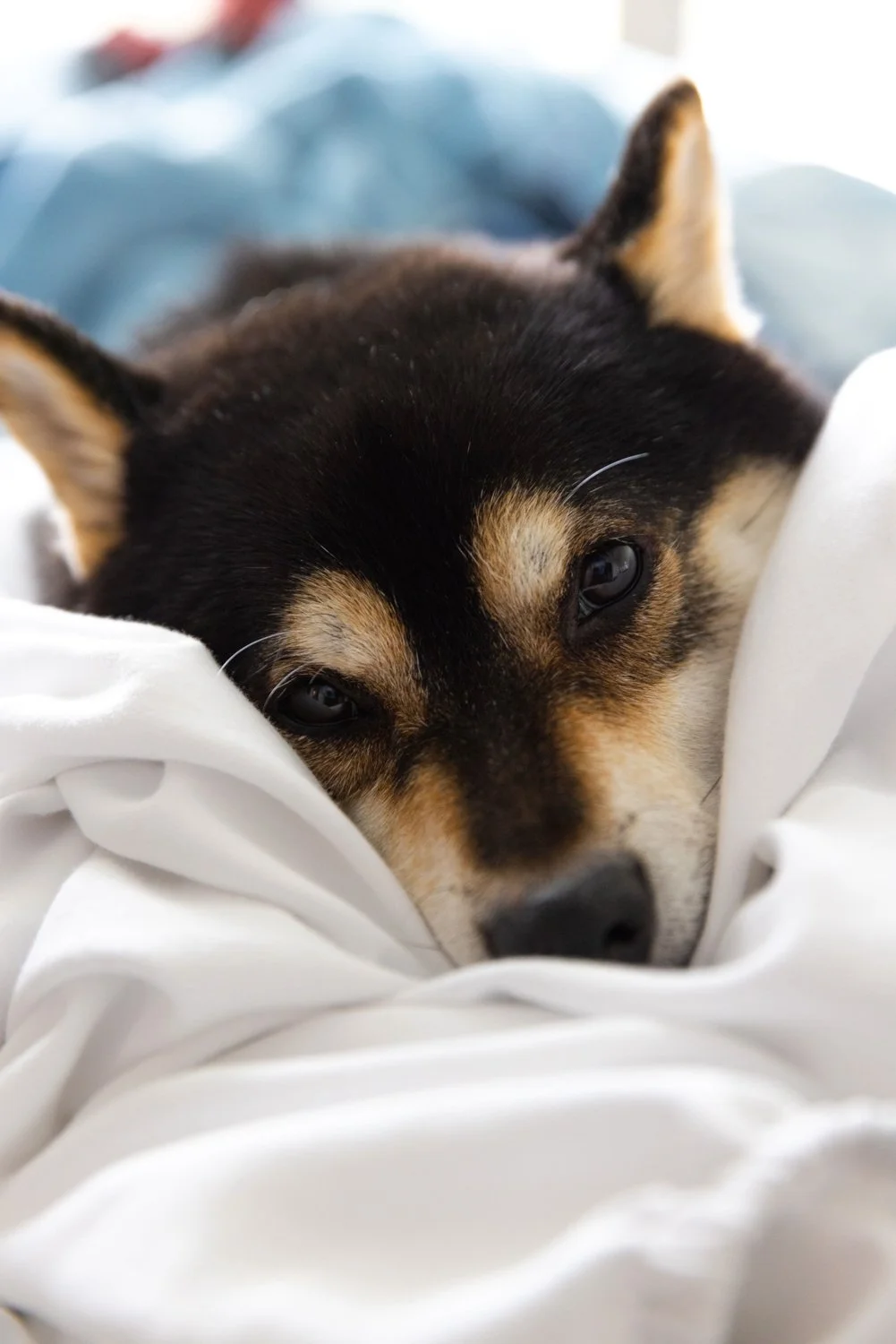 Website x1500 - Web-15.jpg