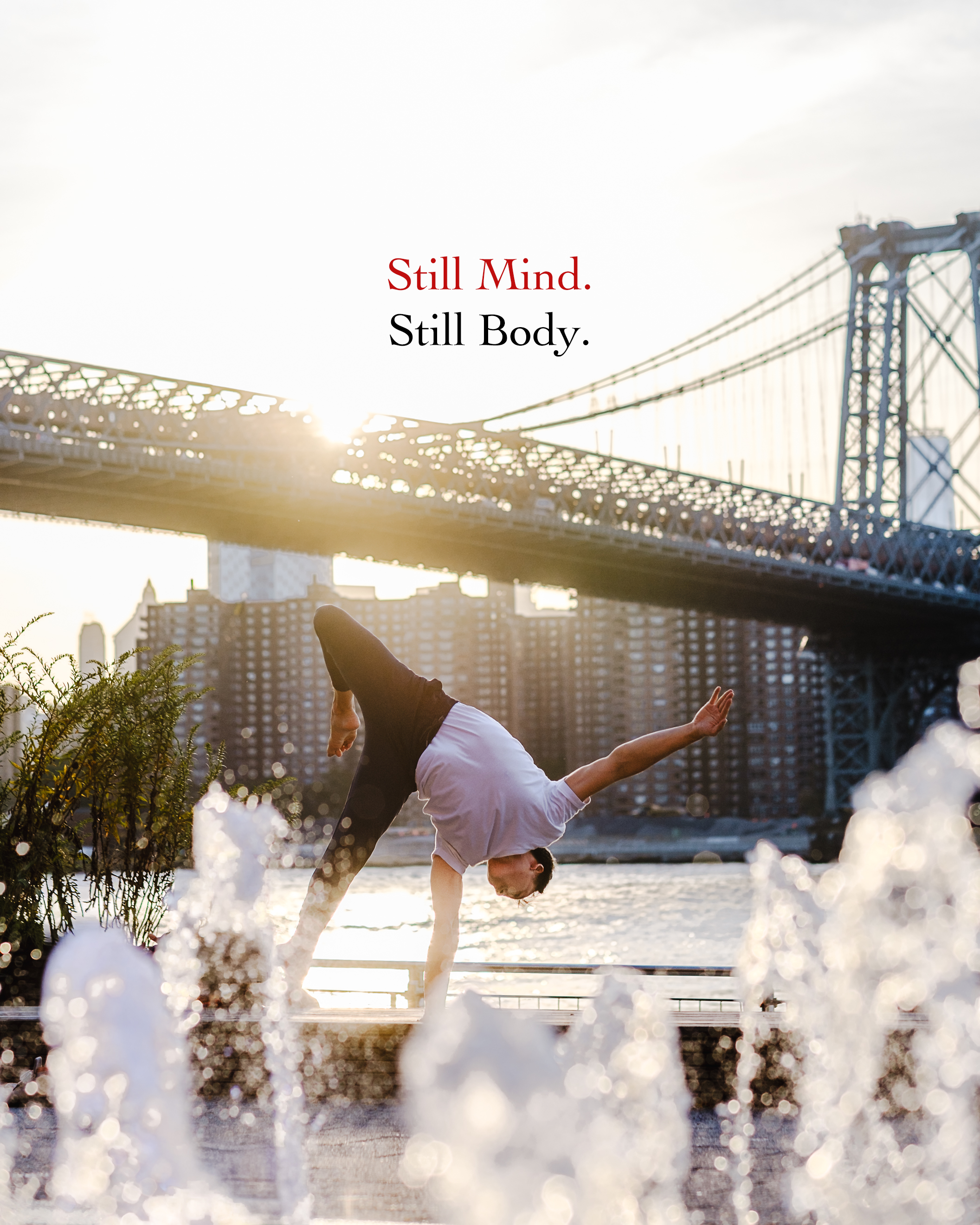 Still Mind. Still Body.