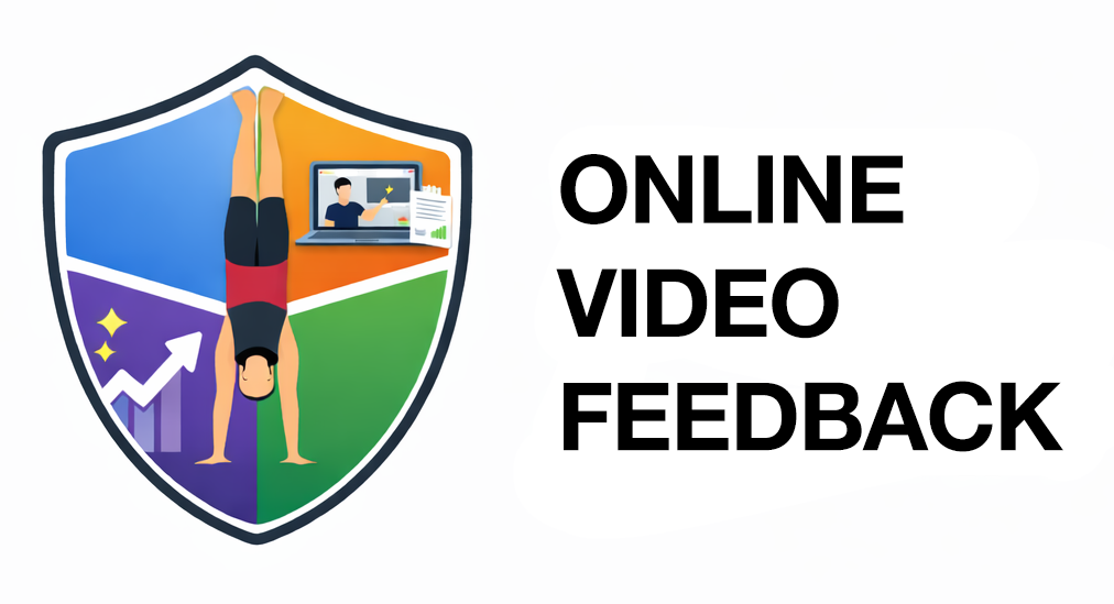 Online Video Feedback