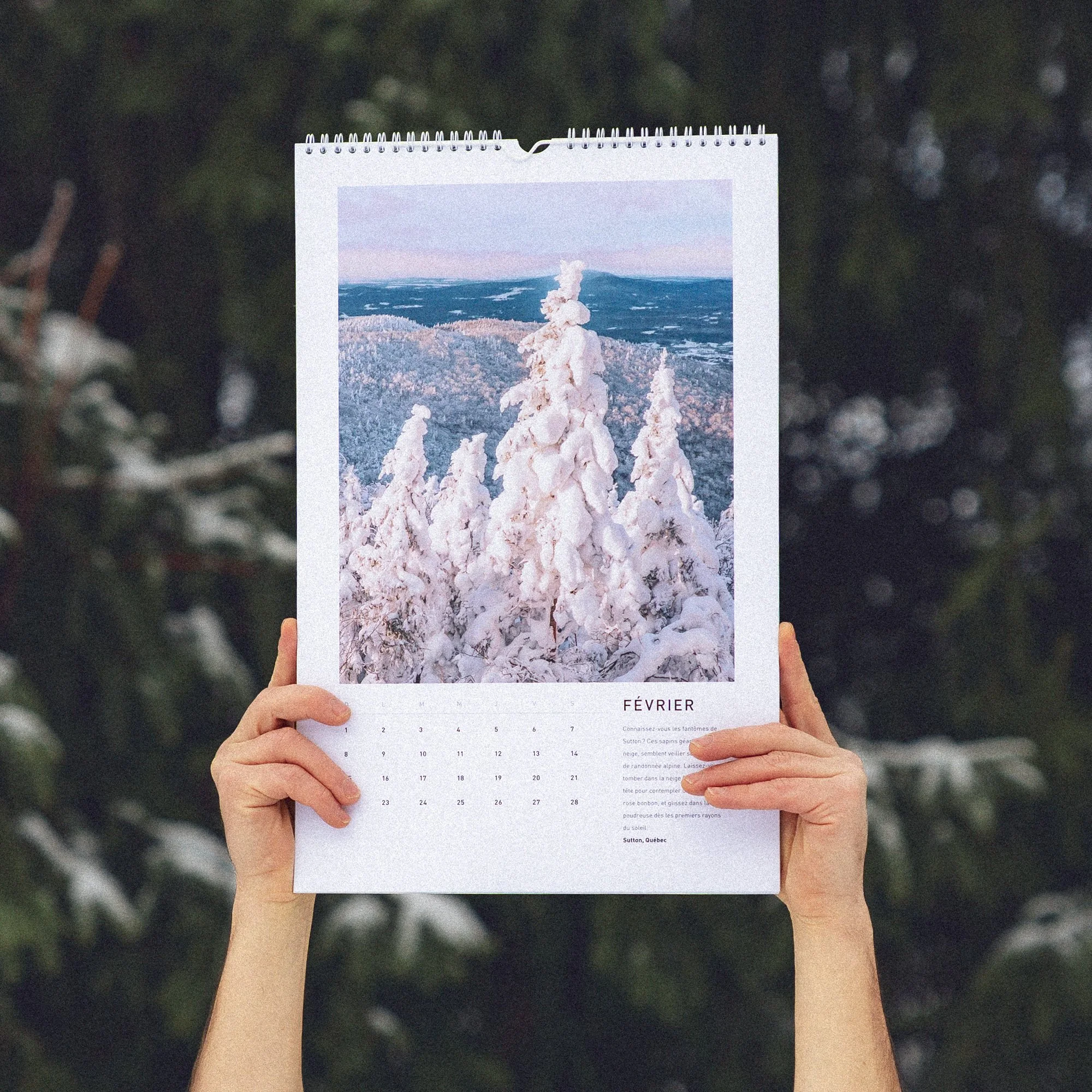Lifestyle_Calendrier_HORIZON_2026_Nicolas_Bourdeau_Photographe_Fevrier.jpg