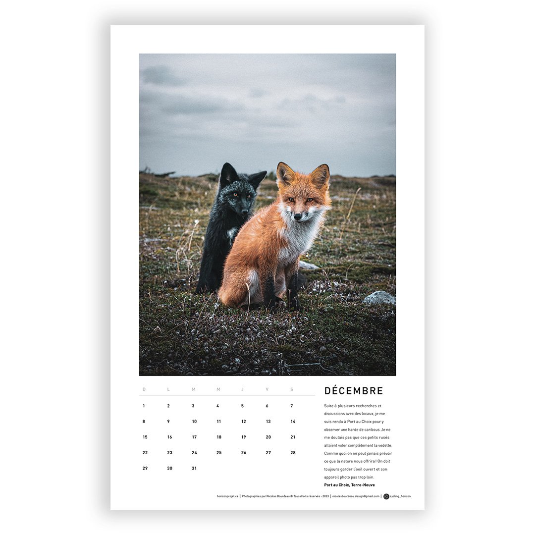 Calendrier_HORIZON_2024_Separer_2024_DECEMBRE.jpg