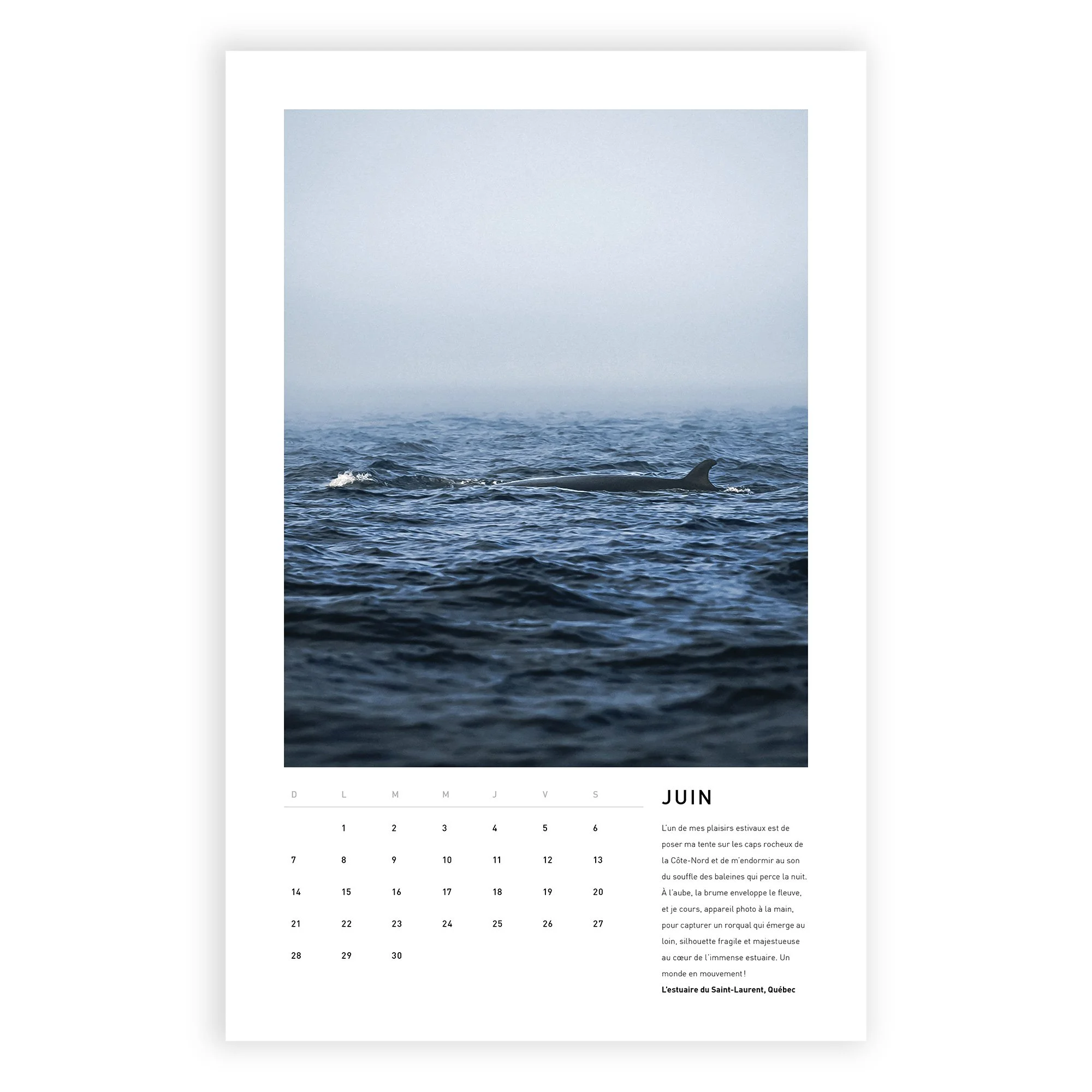 Calendrier_HORIZON_2026_Separer_JUIN.jpg