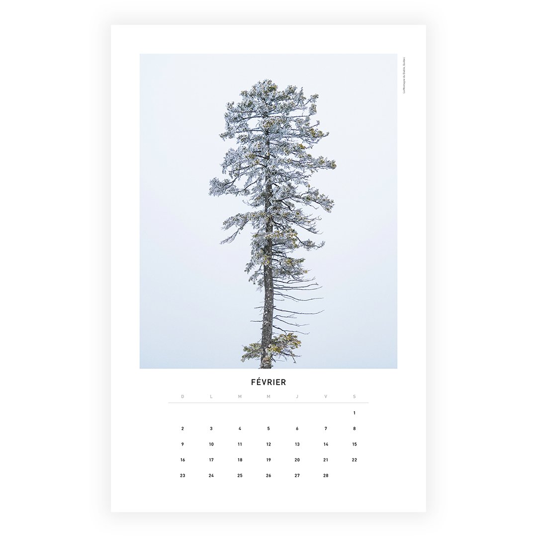 2_Calendrier_2025_Horizon_Nicolas_Bourdeau_Photographe_FEVRIER.jpg