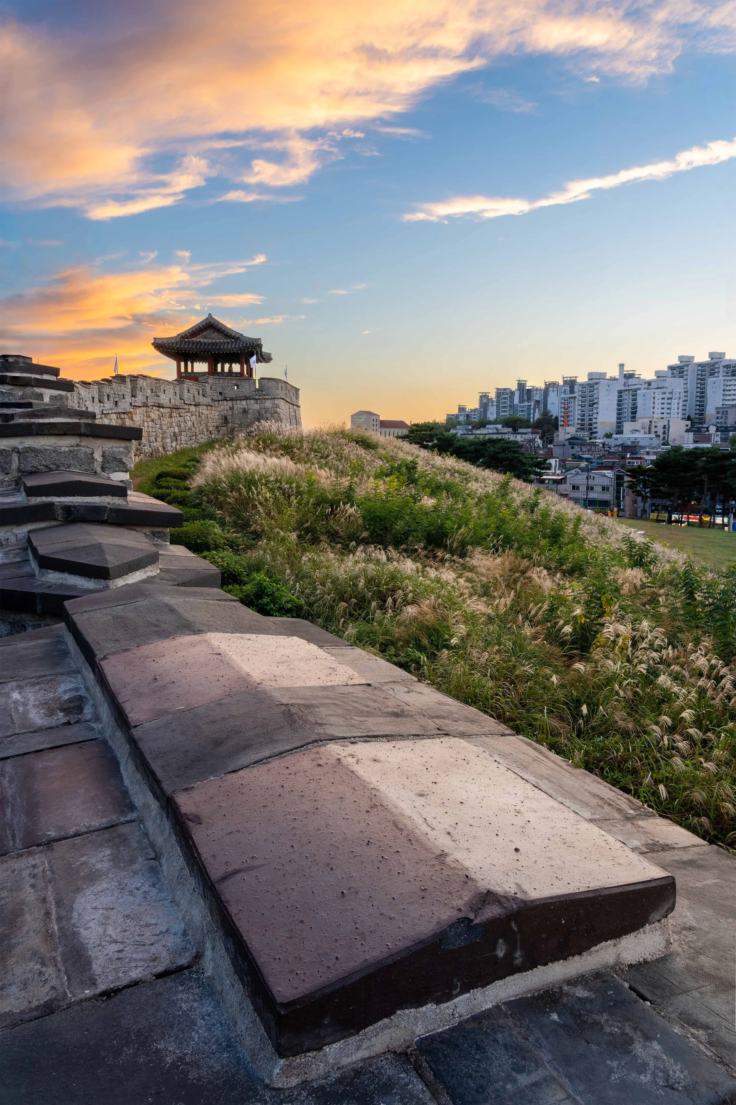 A7405753-HDR-Suwon Tower Vert.jpg