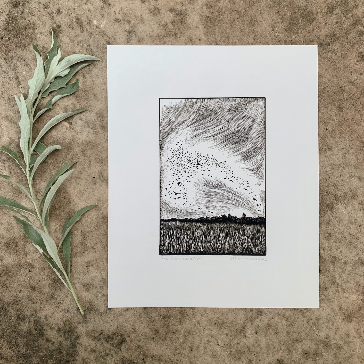 murmurationprint.jpg