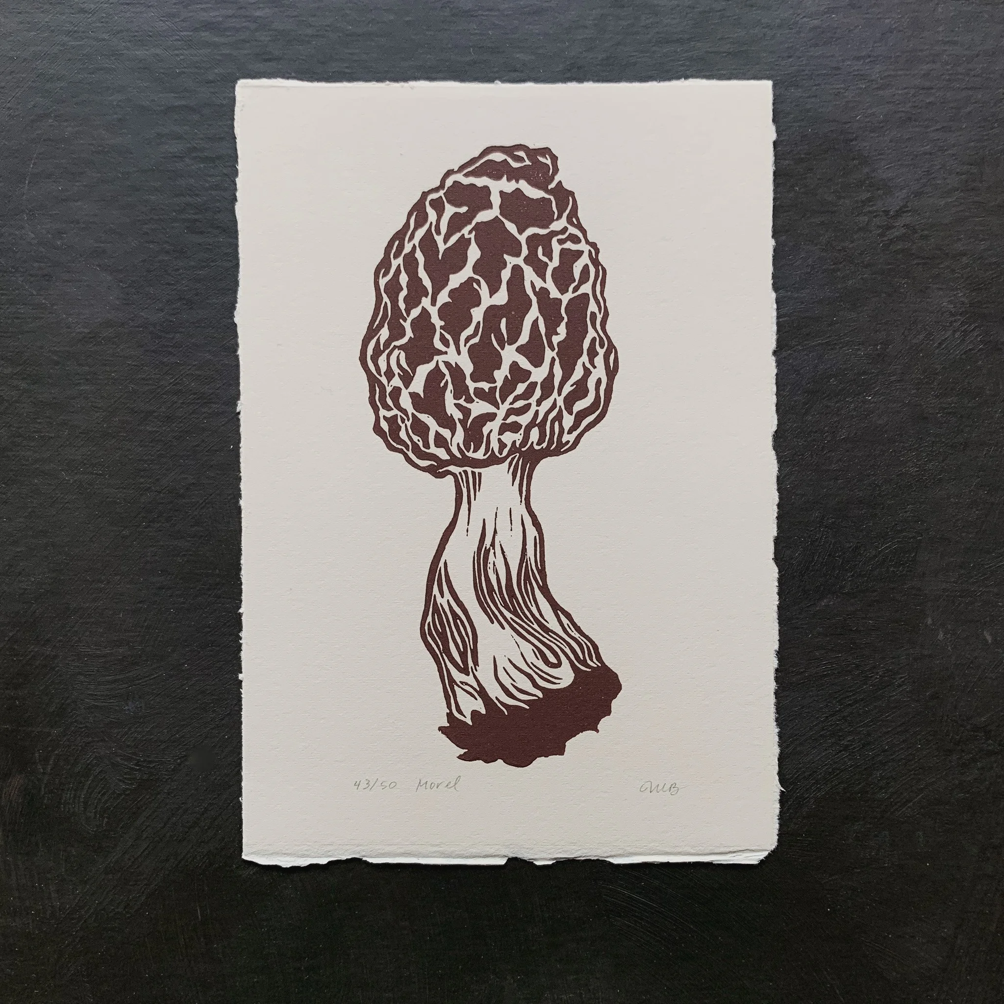 MorelPrint.jpg