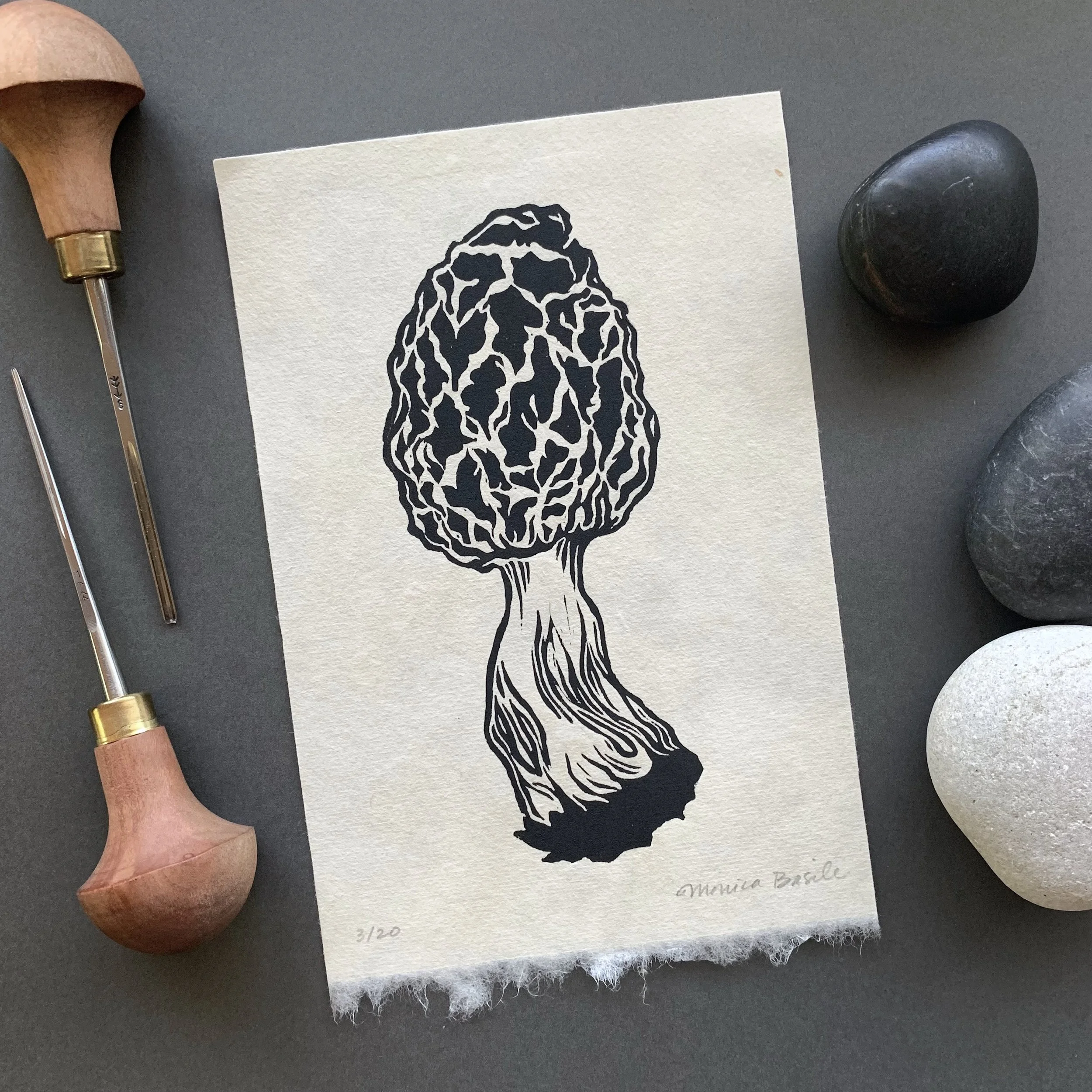 Morel-Etsy.jpg