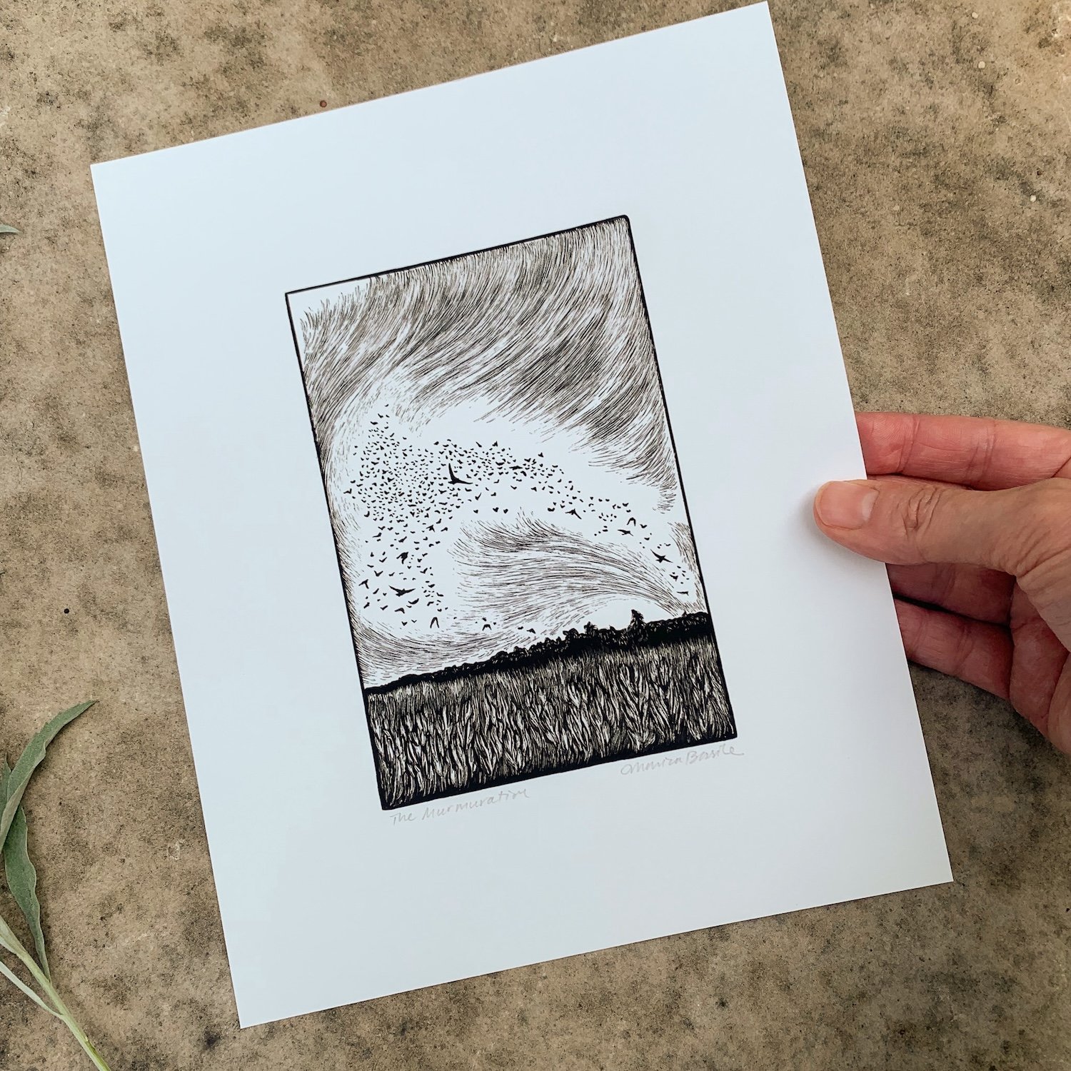 murmurationprint2.jpg