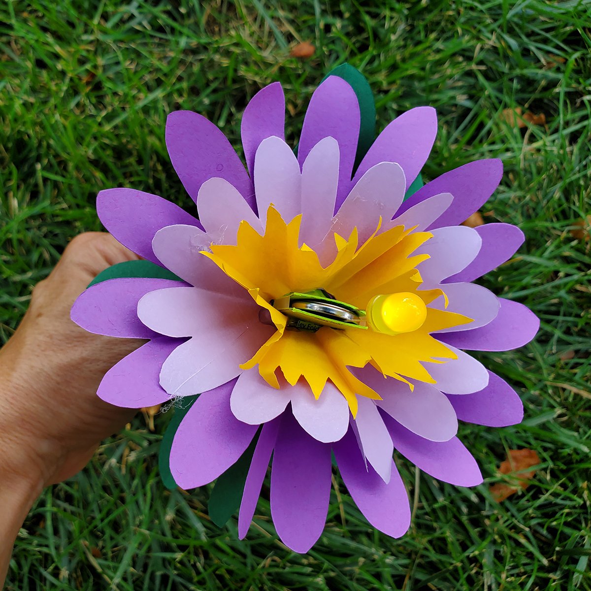 Tech Blooms (11).jpg