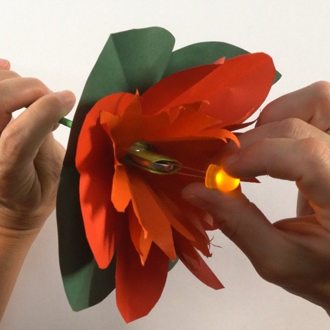 led+flowe00101.jpg