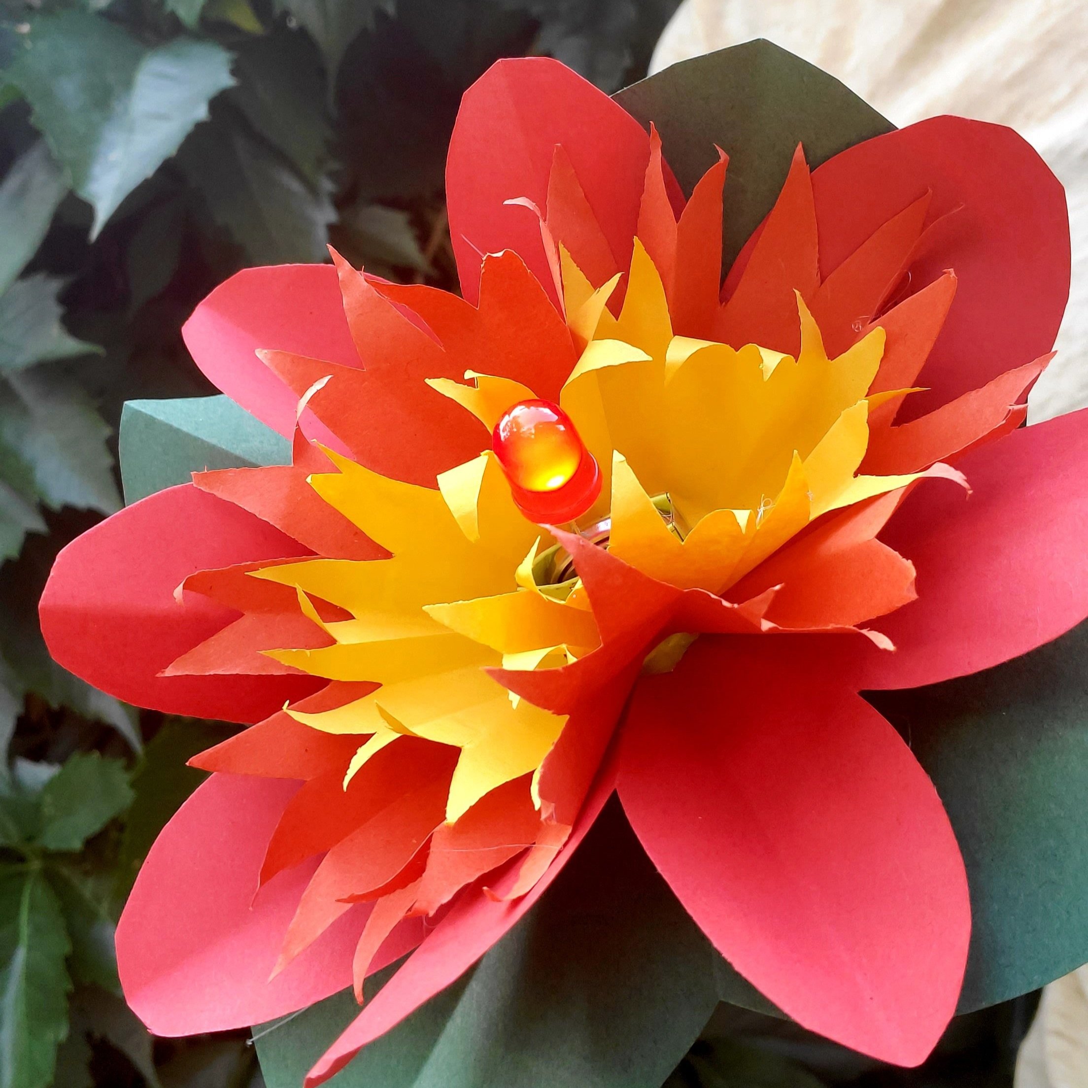Tech+Blooms+%2814%29.jpg