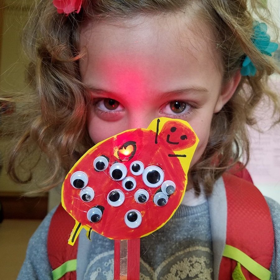 LED+Puppet+Crop.jpg