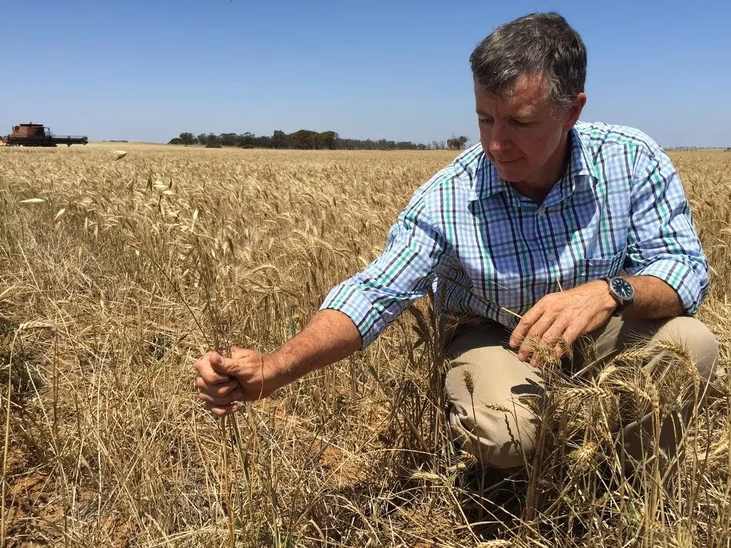 CEI:AgER researcher awarded professorship at Charles Sturt University