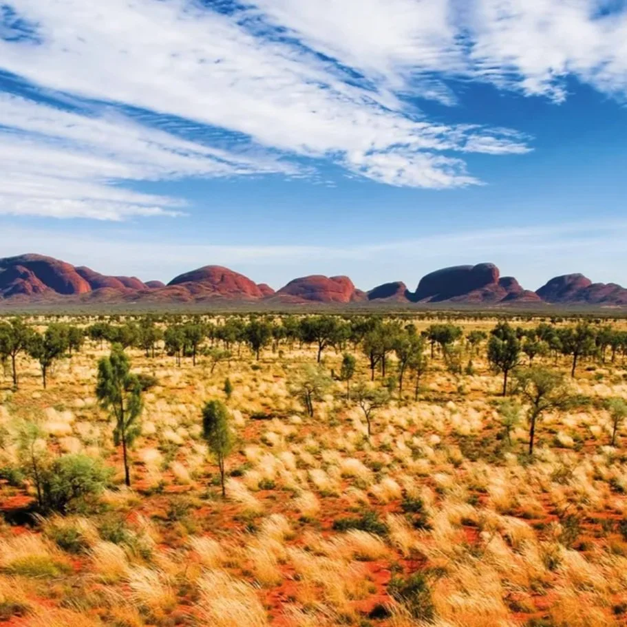 rangeland.jpg
