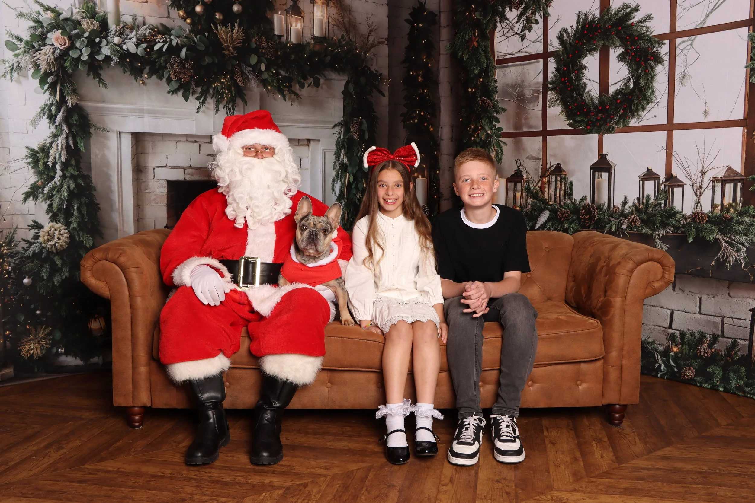 Hobart Christmas Photo Session, Pet Friendly