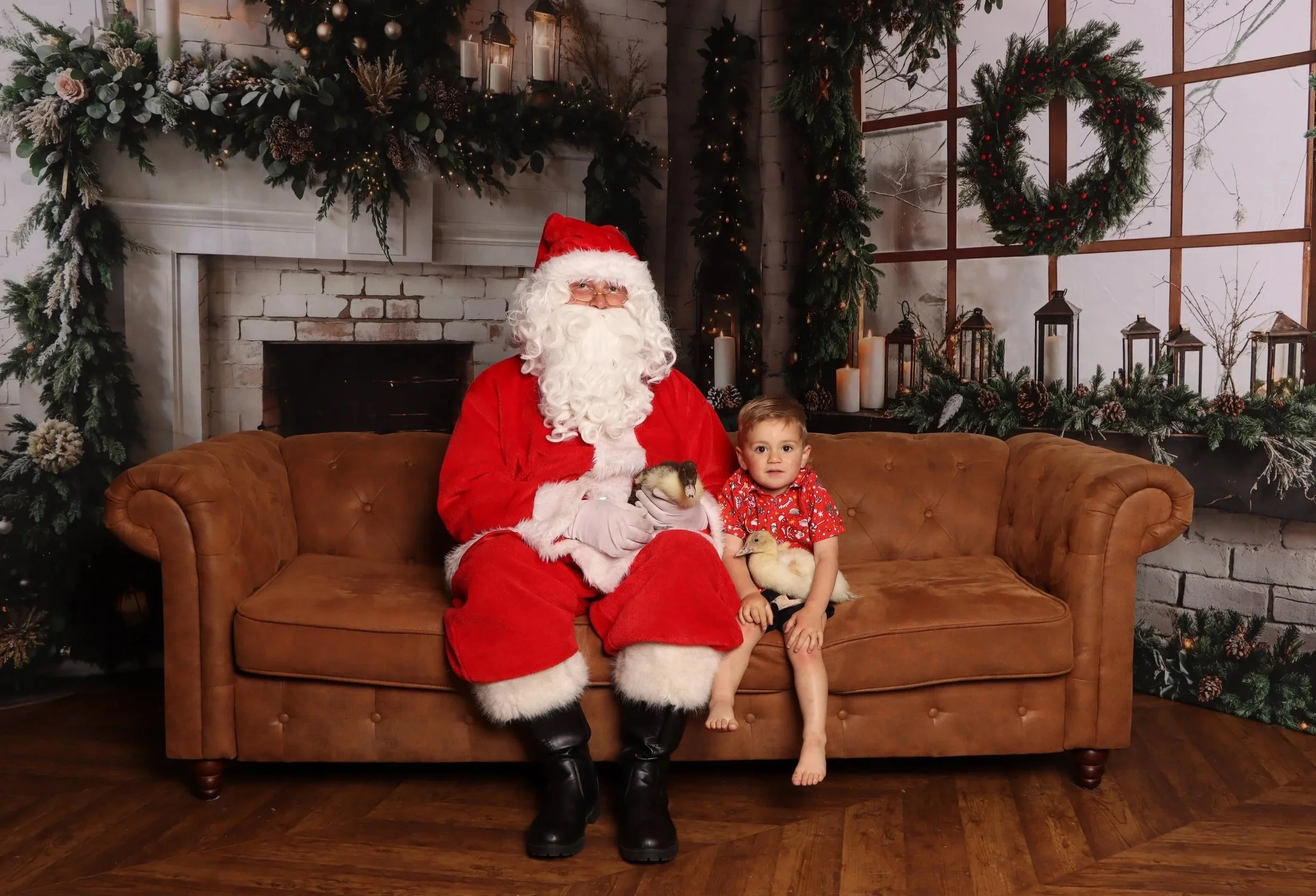 Hobart Christmas Photo Session, Pet Friendly