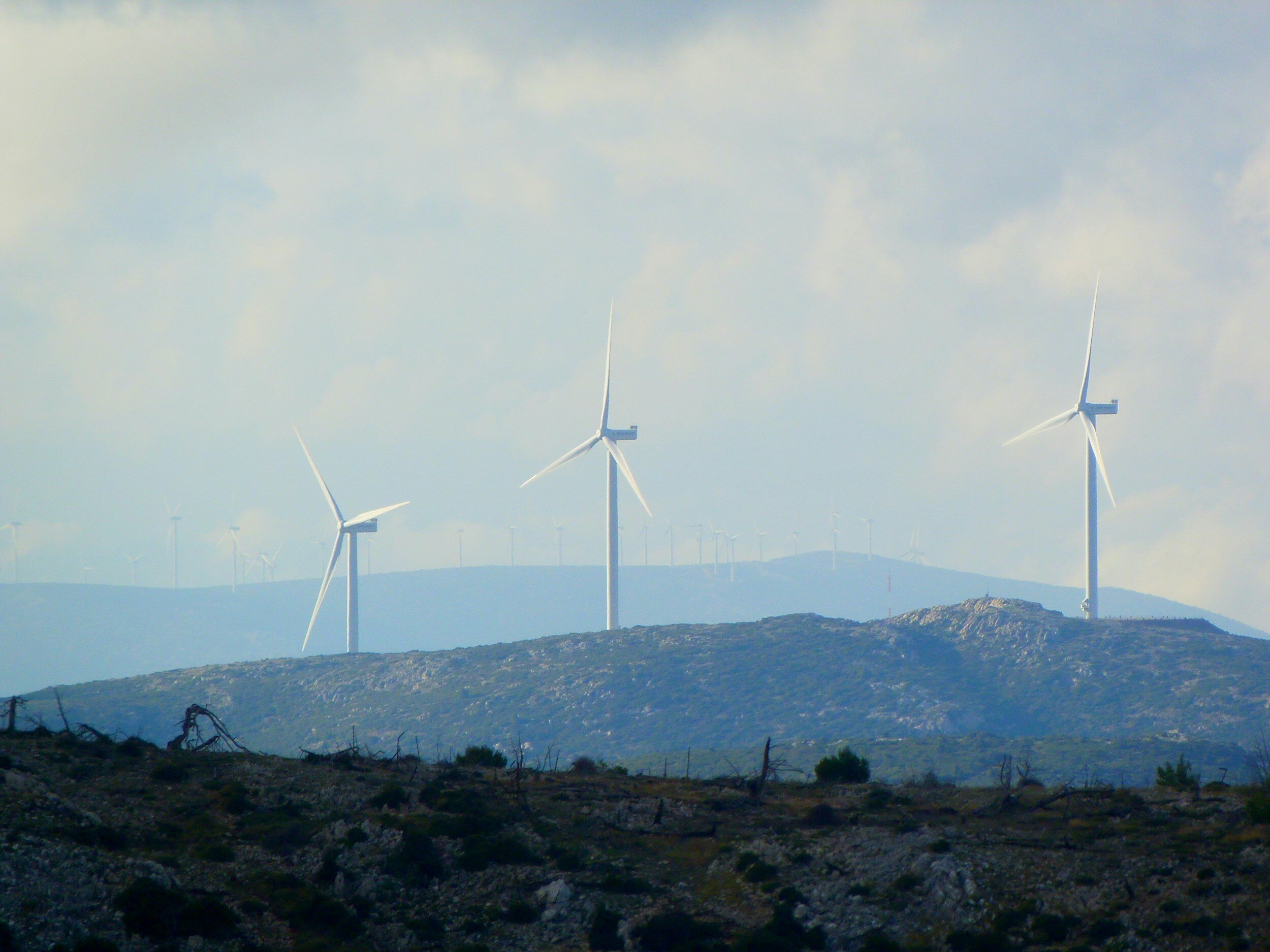 Creating consistent digital format for ESG reporting