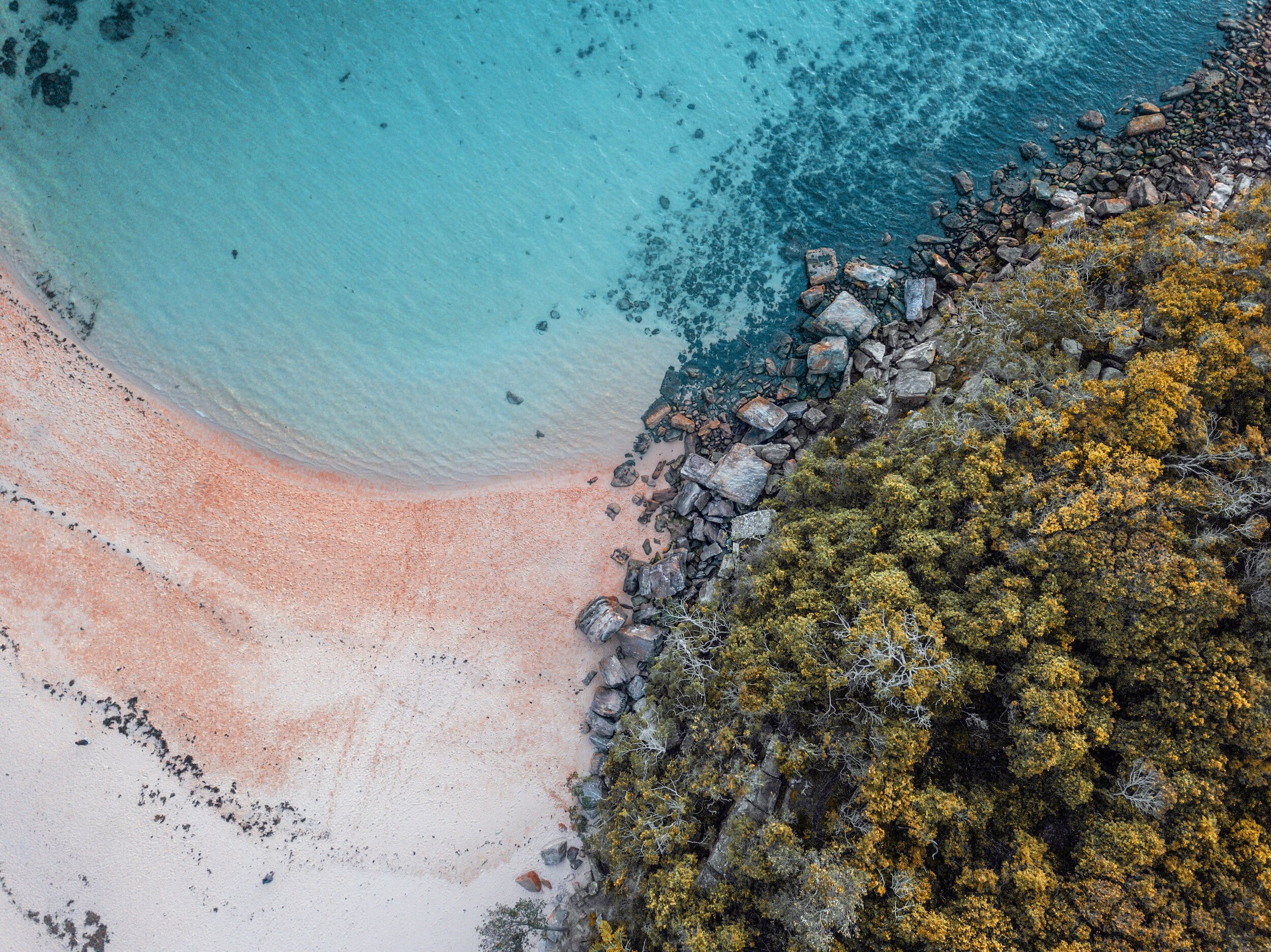 Understanding the Financial Impact of Nature Loss