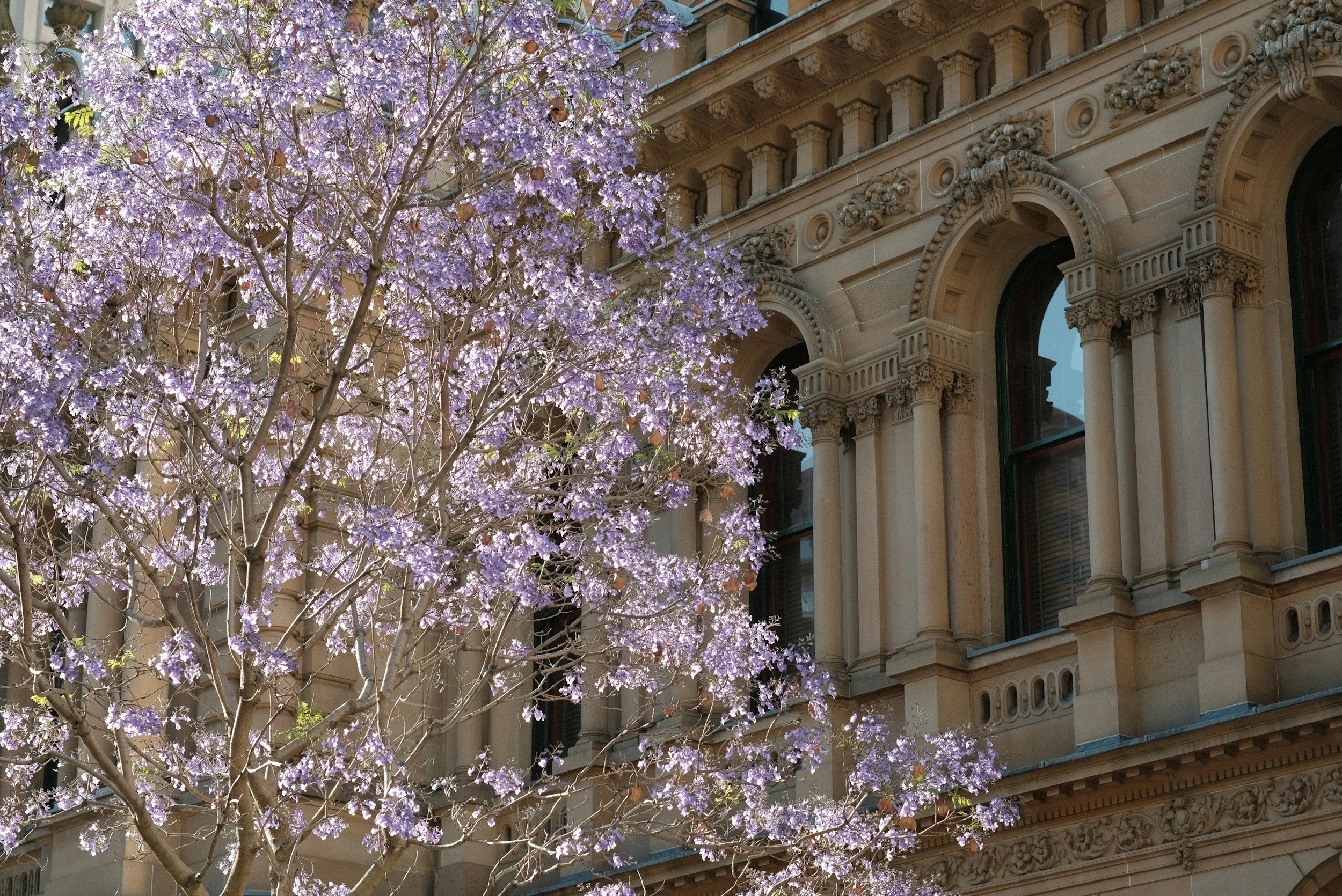 The Insurance Council of Australia’s Annual Dinner