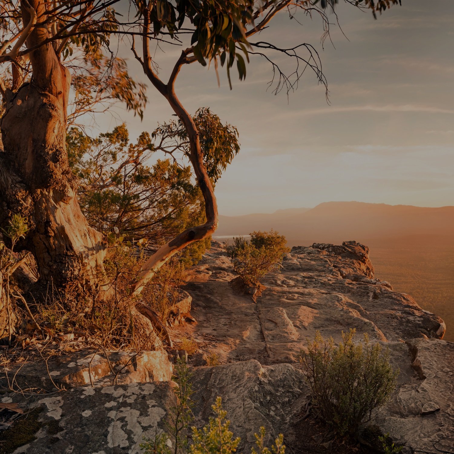 Twelve signals that shaped Sustainable Finance in 2025, and what they mean for 2026.