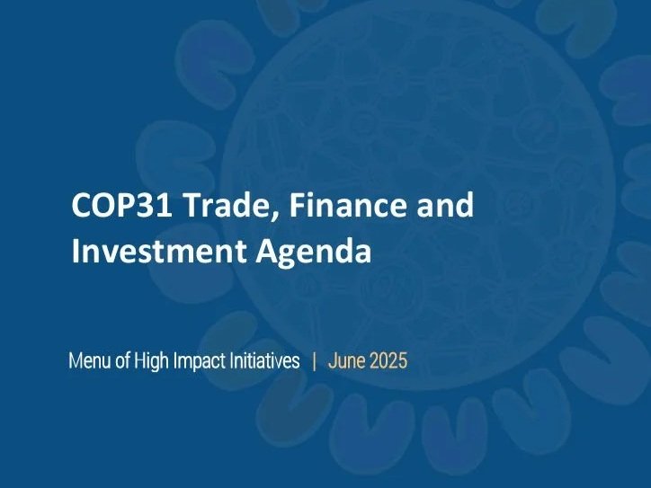 COP31 Trade, Finance and Investment Agenda