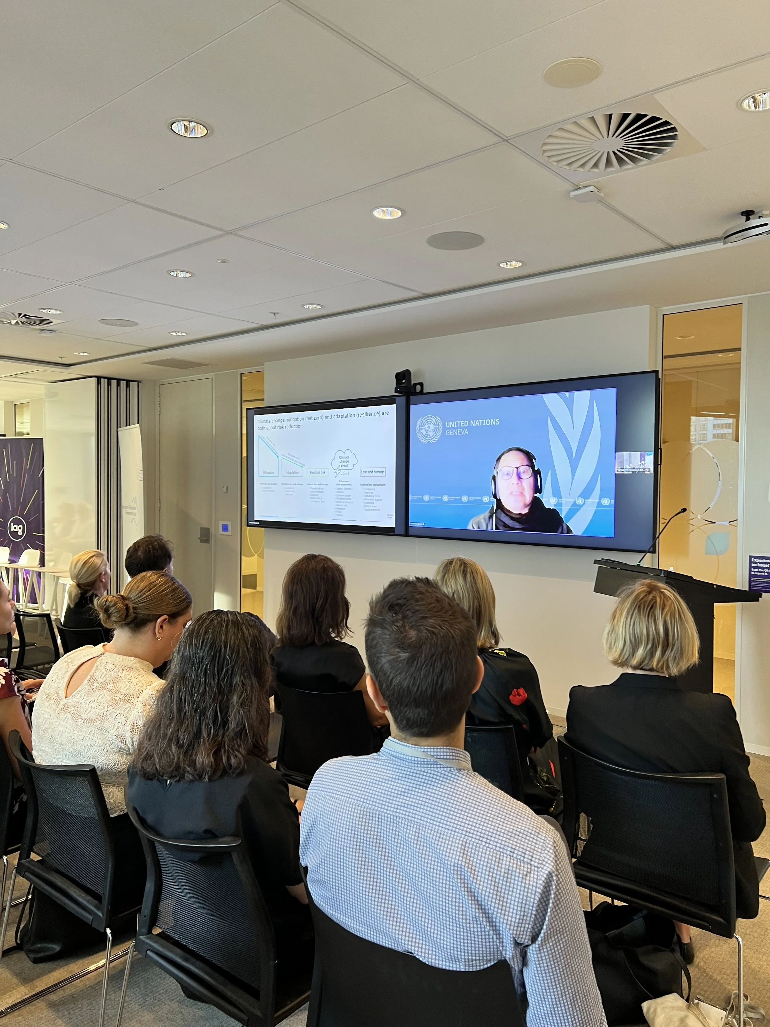 Butch Bacani UNEP FI.jpg