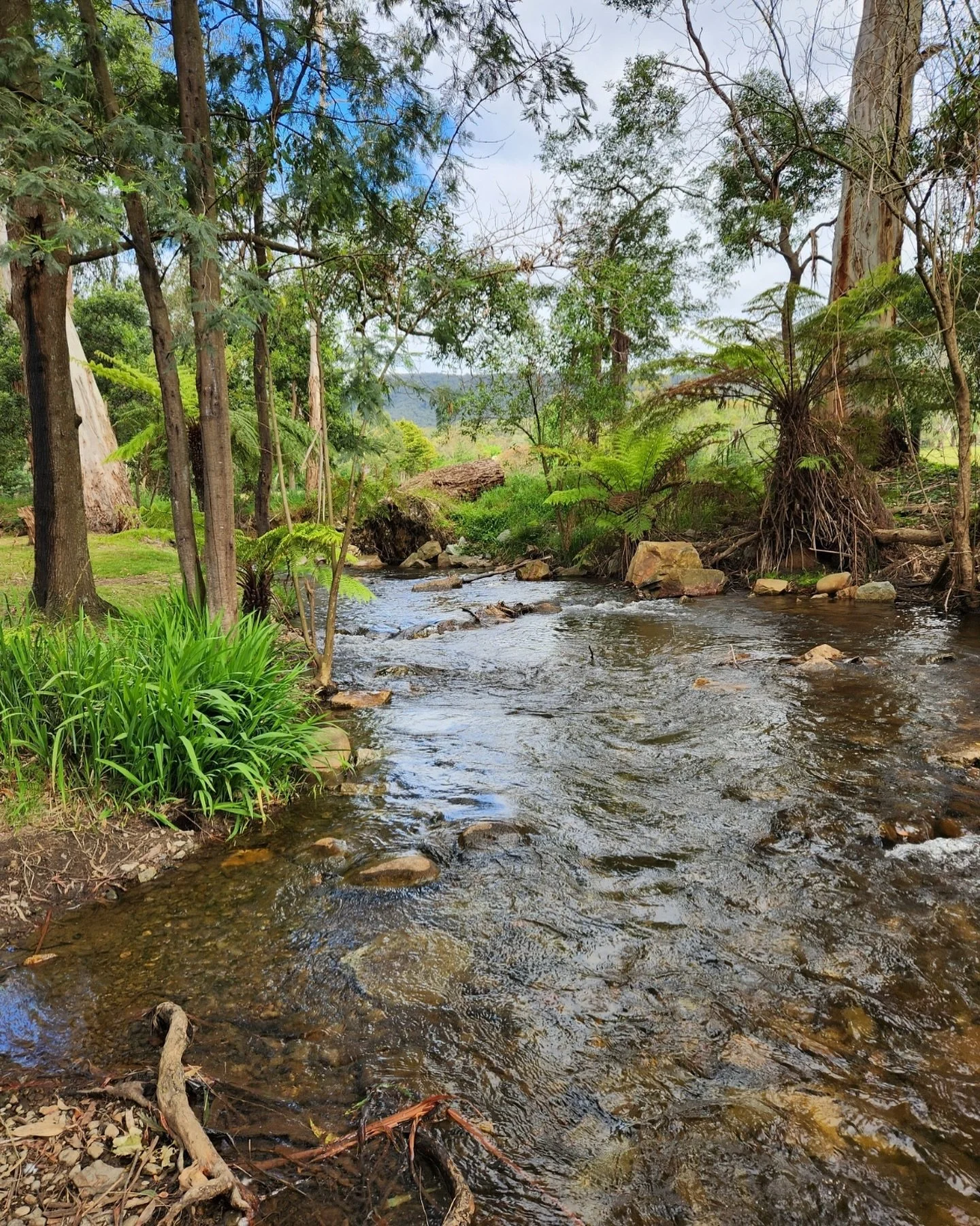 On this final weekend of our Community Month 2024, it&rsquo;s our Church Camp with about 70 campers booked for a fun time on the banks of Badger Creek in Healesville.
 
Join us Sunday 10am in Healesville OR here at the Village Church for our Sunday s