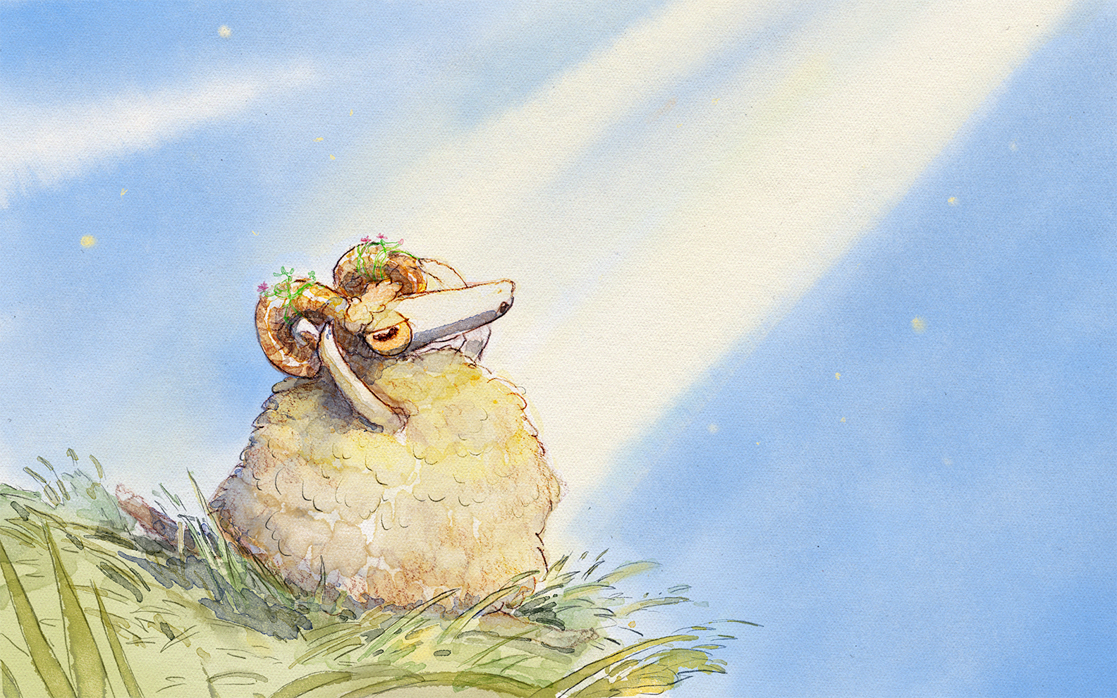 A glorious day to be a sheep