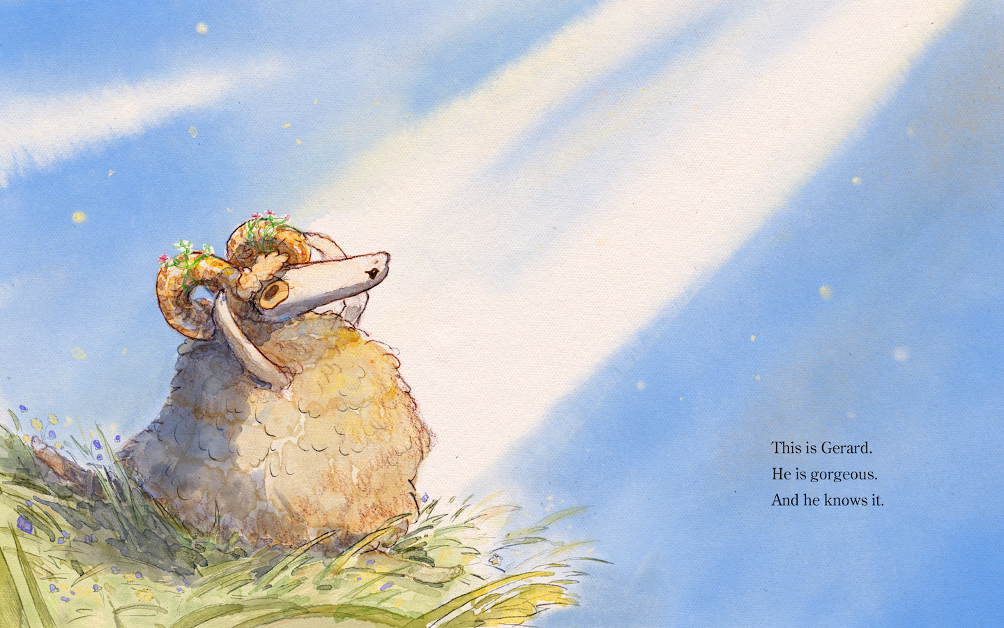 sheep-intro small.png