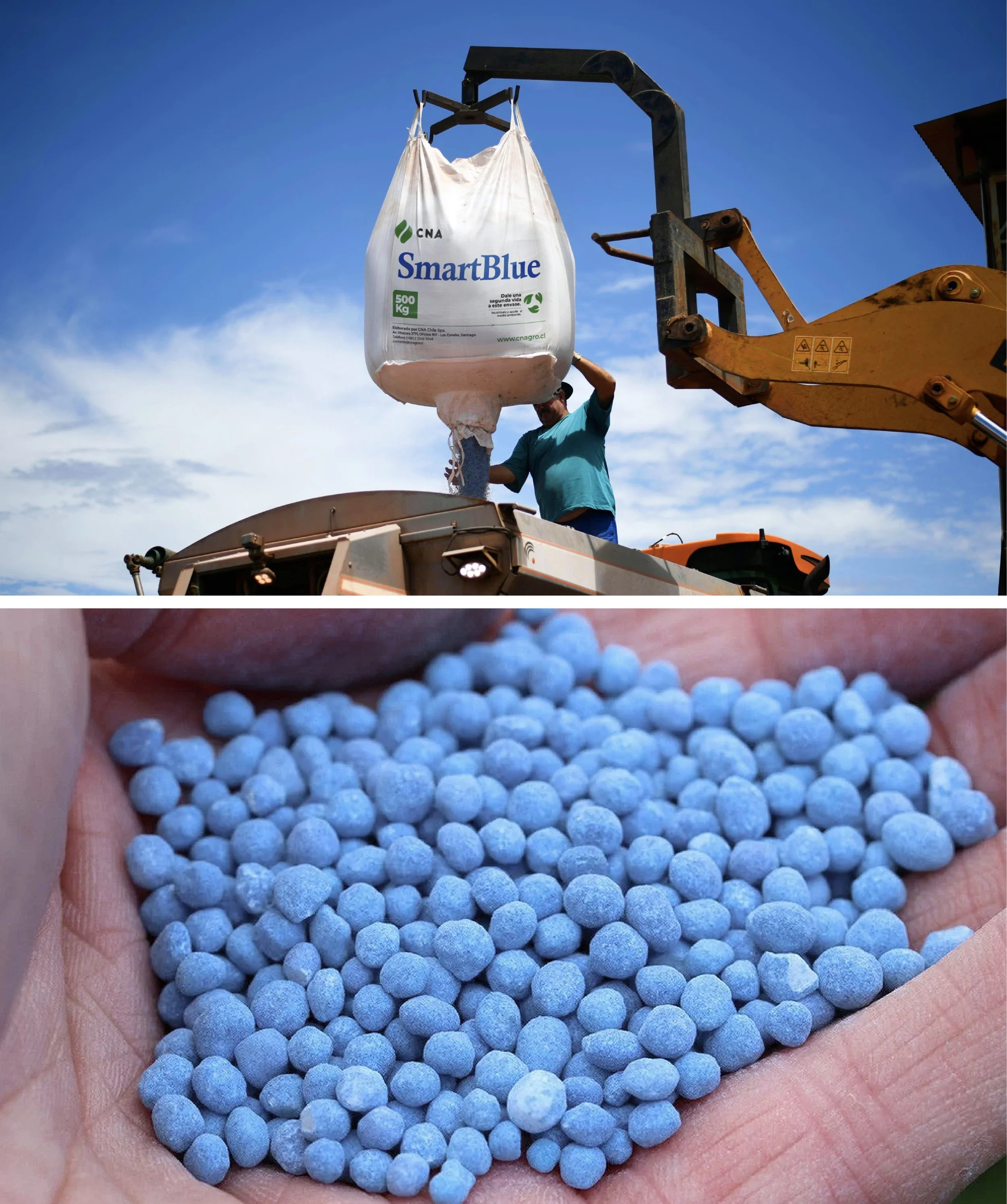 SmartBlue Behance-06.jpg