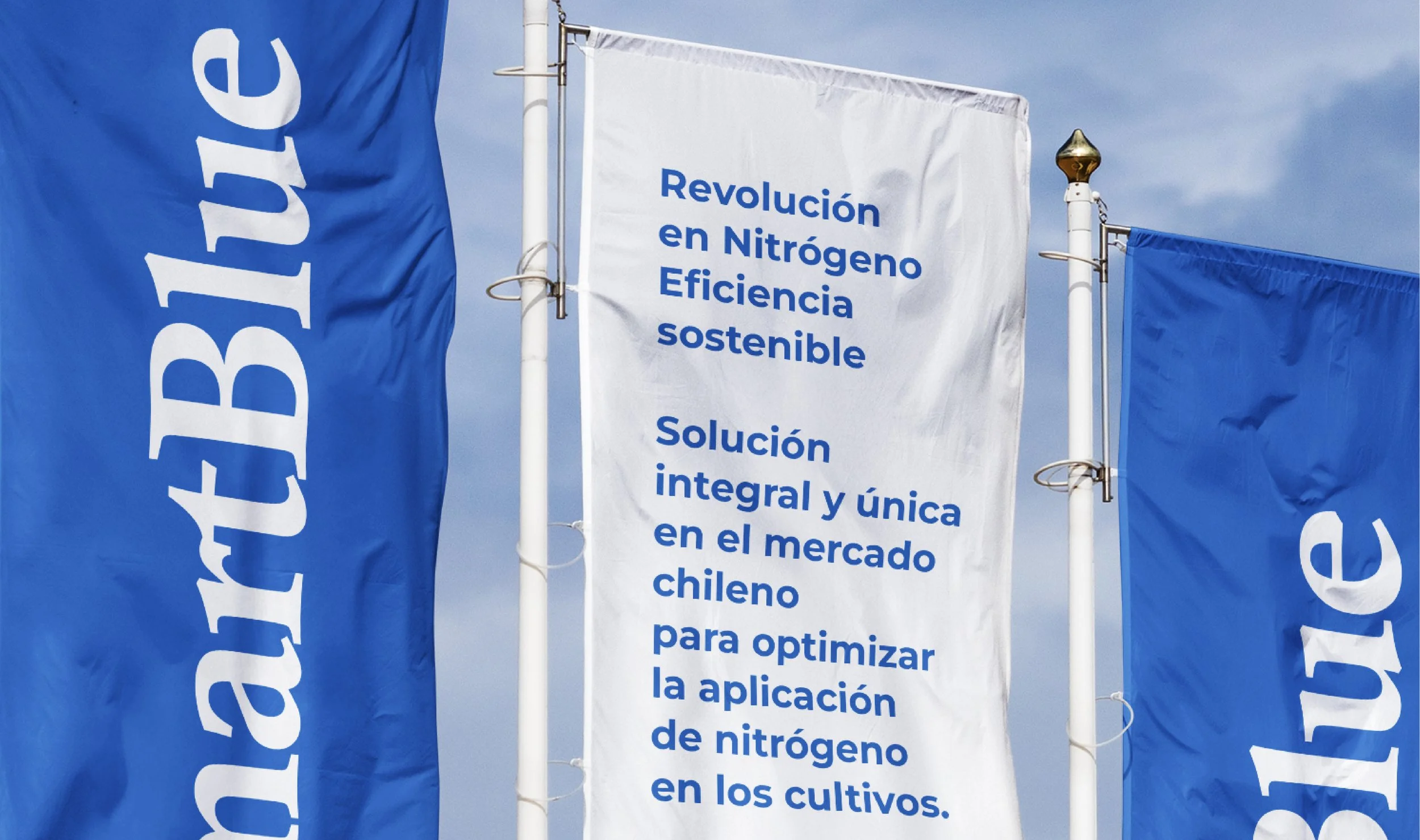 SmartBlue Behance_Website copia 8 copy.jpg