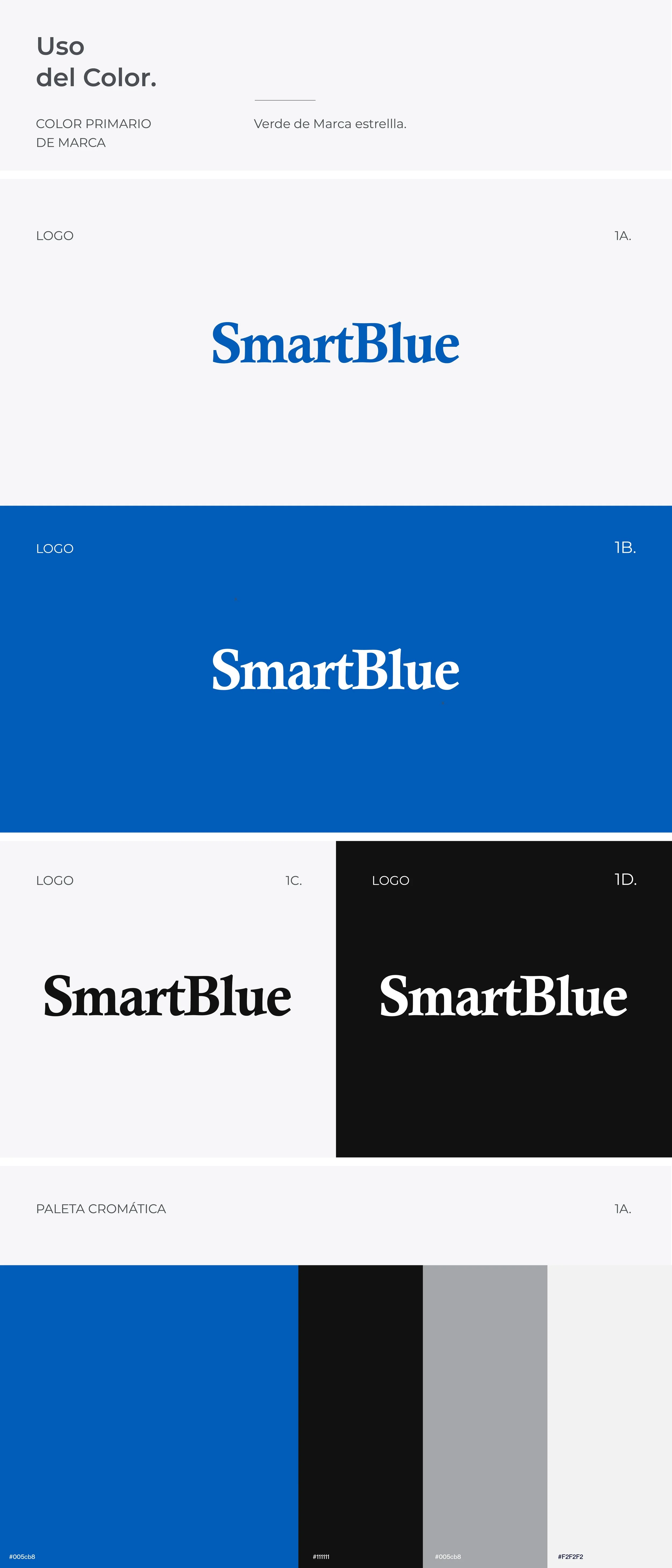 SmartBlue Behance_Website copia 7.jpg