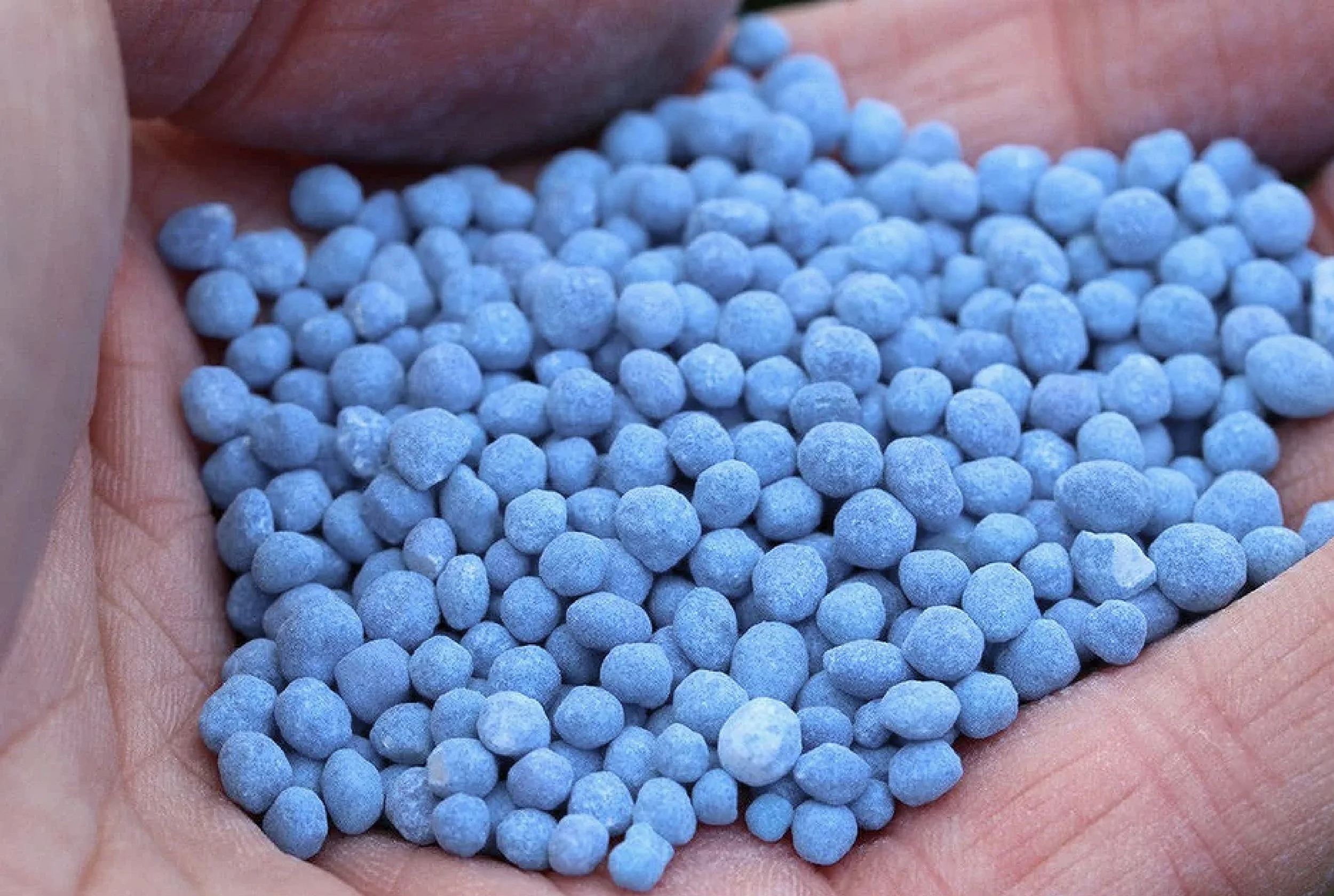 SmartBlue-09.jpg