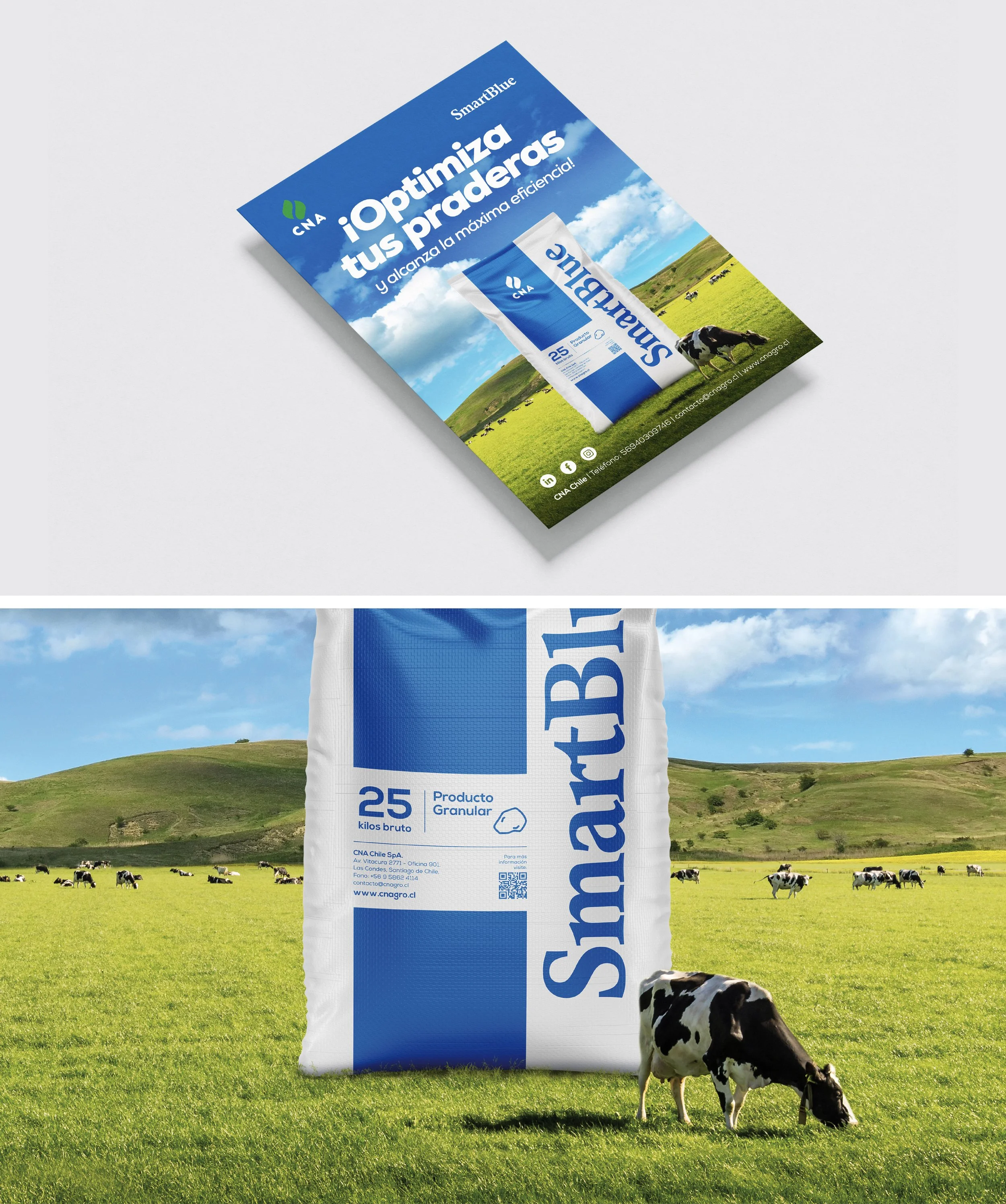 SmartBlue Behance-08 Reducido.jpg