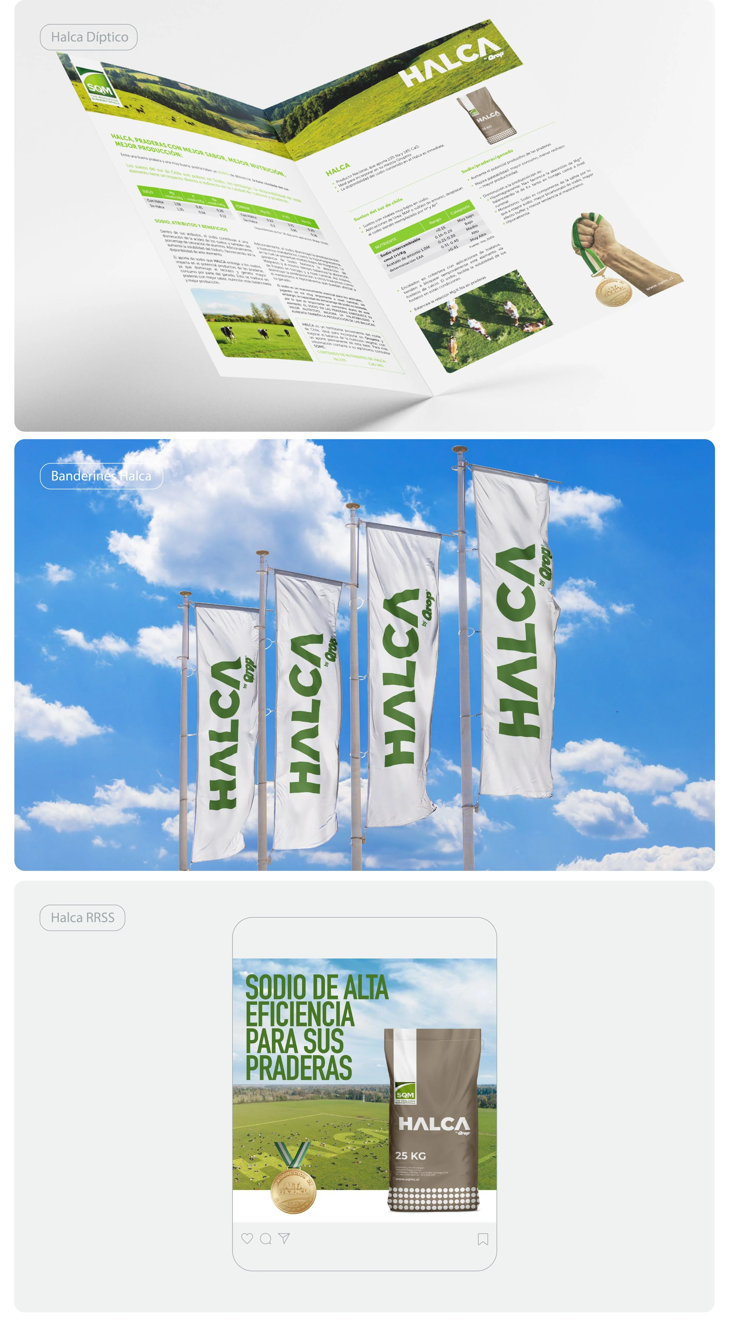 Halca Behance-08.jpg