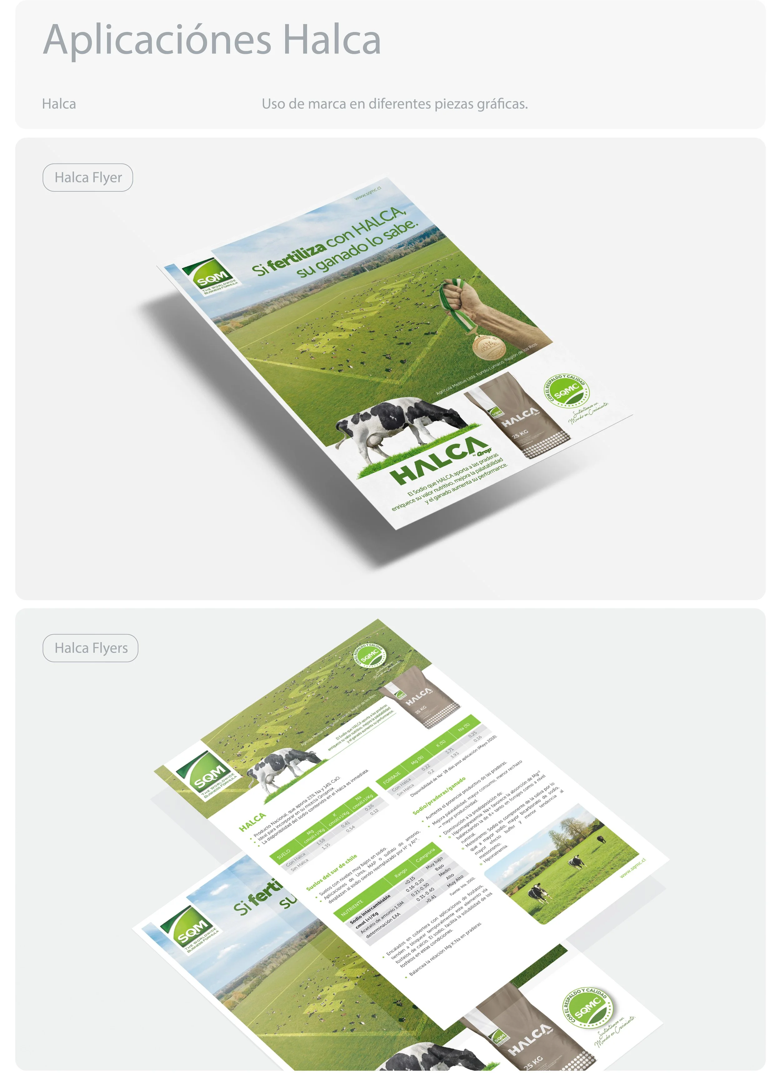 Halca Behance-06.jpg
