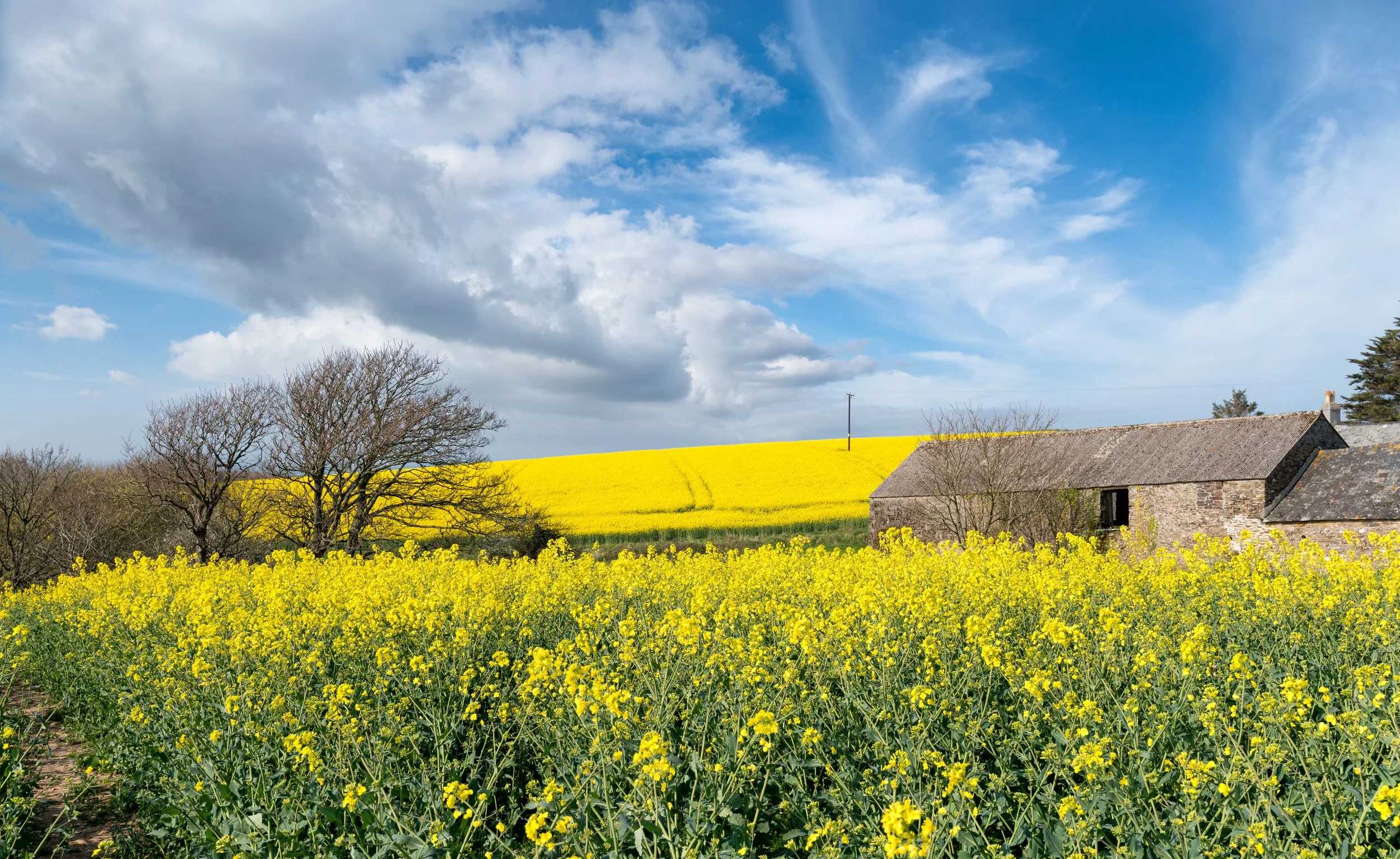 Why a Multidisciplinary Approach Makes All the Difference in Rural Development