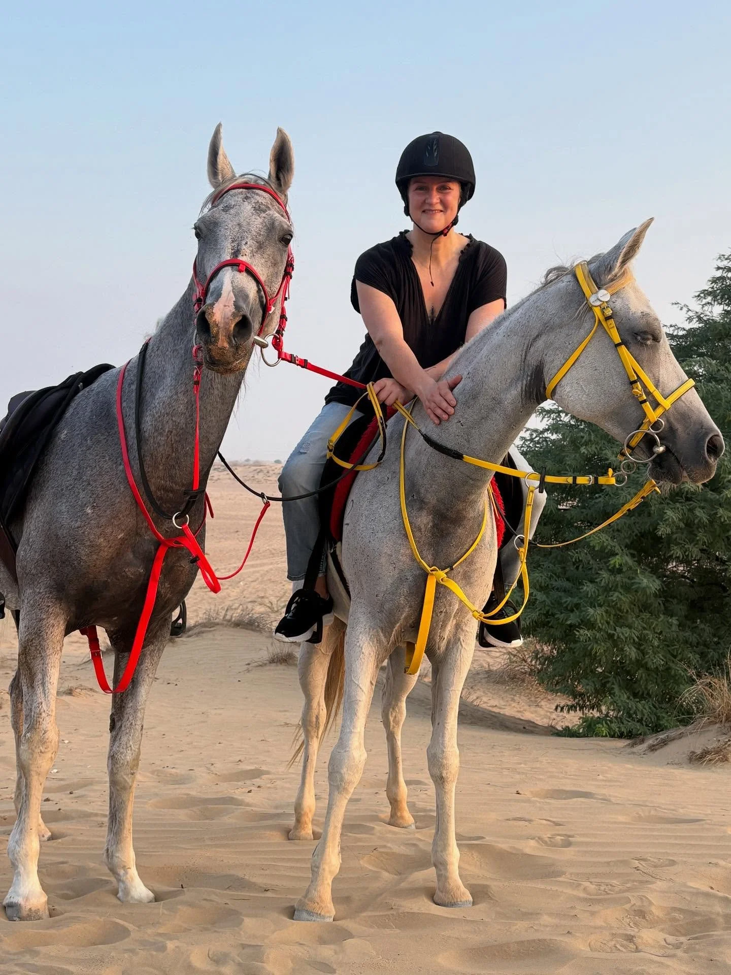 Highlight ✨

#wildexecutive #sundayvibes #bucketlist #dubai #horses @ms9dubai_desert_horse_ride