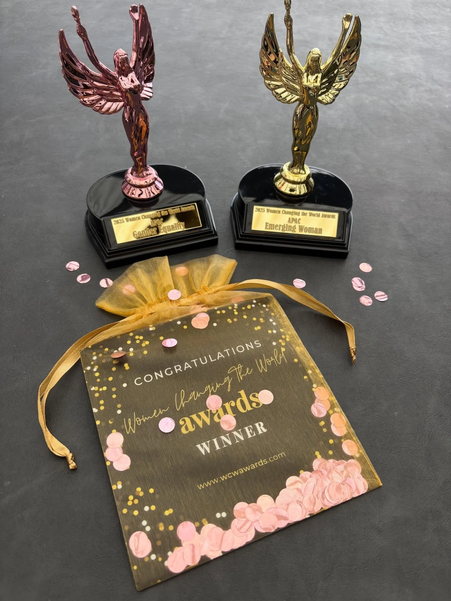 Sharing this with deep gratitude and a huge smile on my face:

&ldquo;Tina Kapp-Kailea, Wild Executive and founder of The Fempreneur, was recognised at the 2025 Women Changing the World Awards with Gold &ndash; Emerging Woman of the Year, and Bronze 