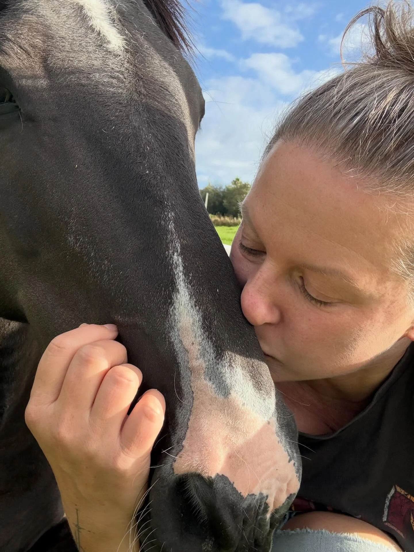 My place to be still 💓
#mindfulness #horses #wildexecutive #spiritualentrepreneur