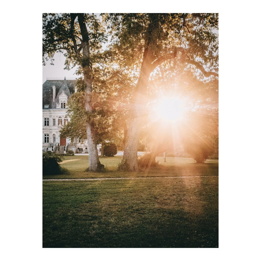 END OF 2019 SEASON REVIEW