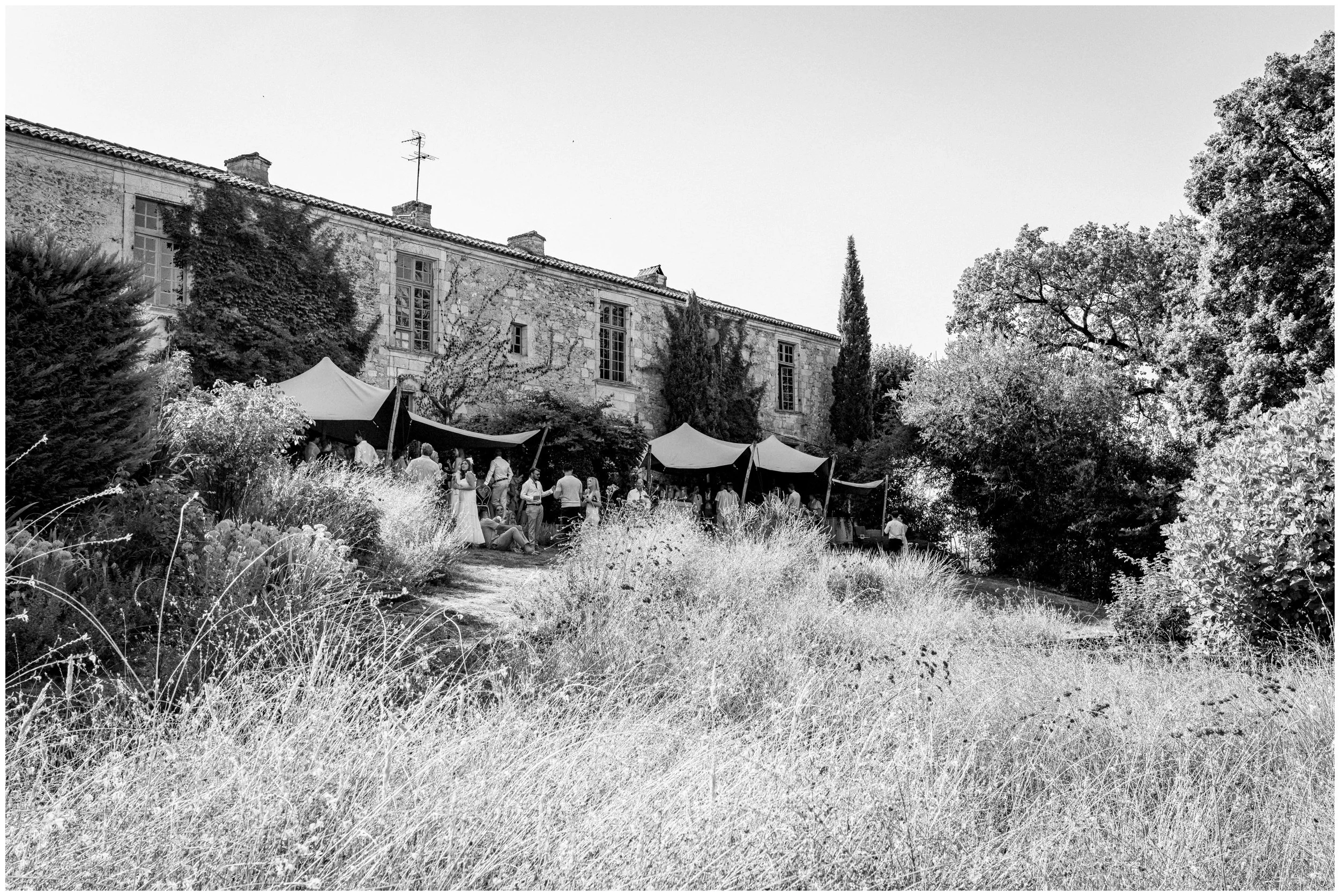 Firehorse_Chateau_Rigaud_100.JPG