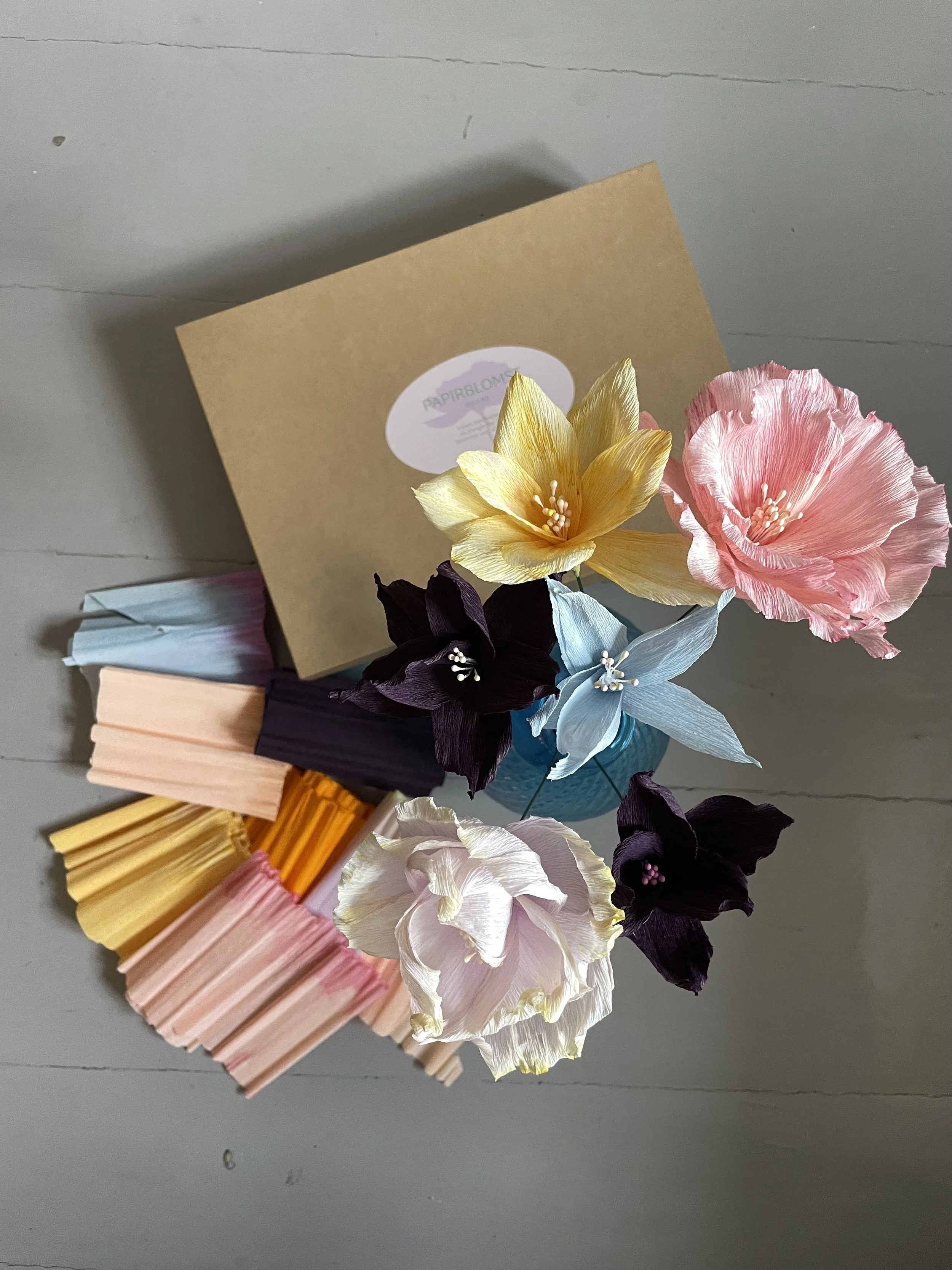Papirblomst Start-Kit - Nybegynner