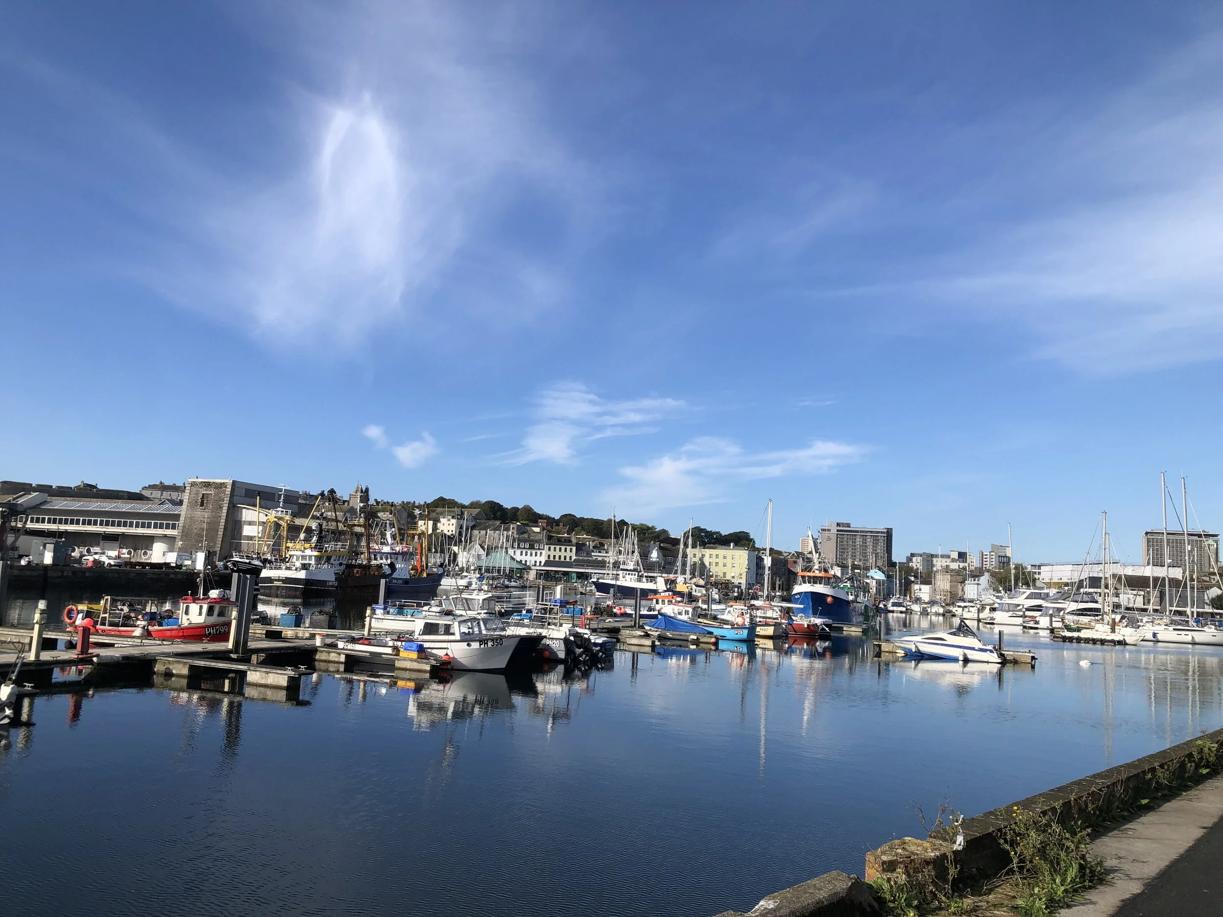 Devon Mind’s “Scenic” Sunday 10K