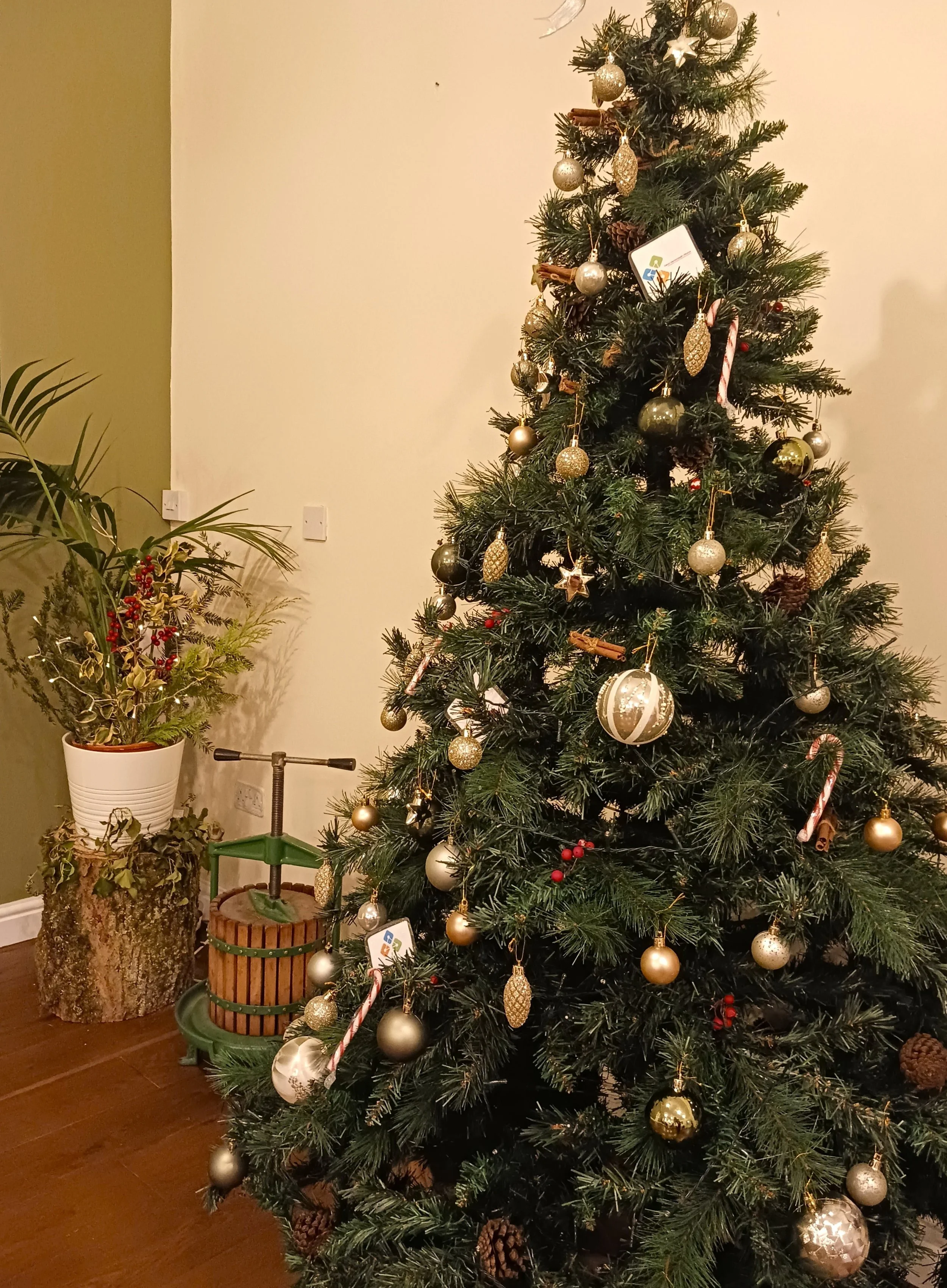 Copy of 20251209_155643.jpg