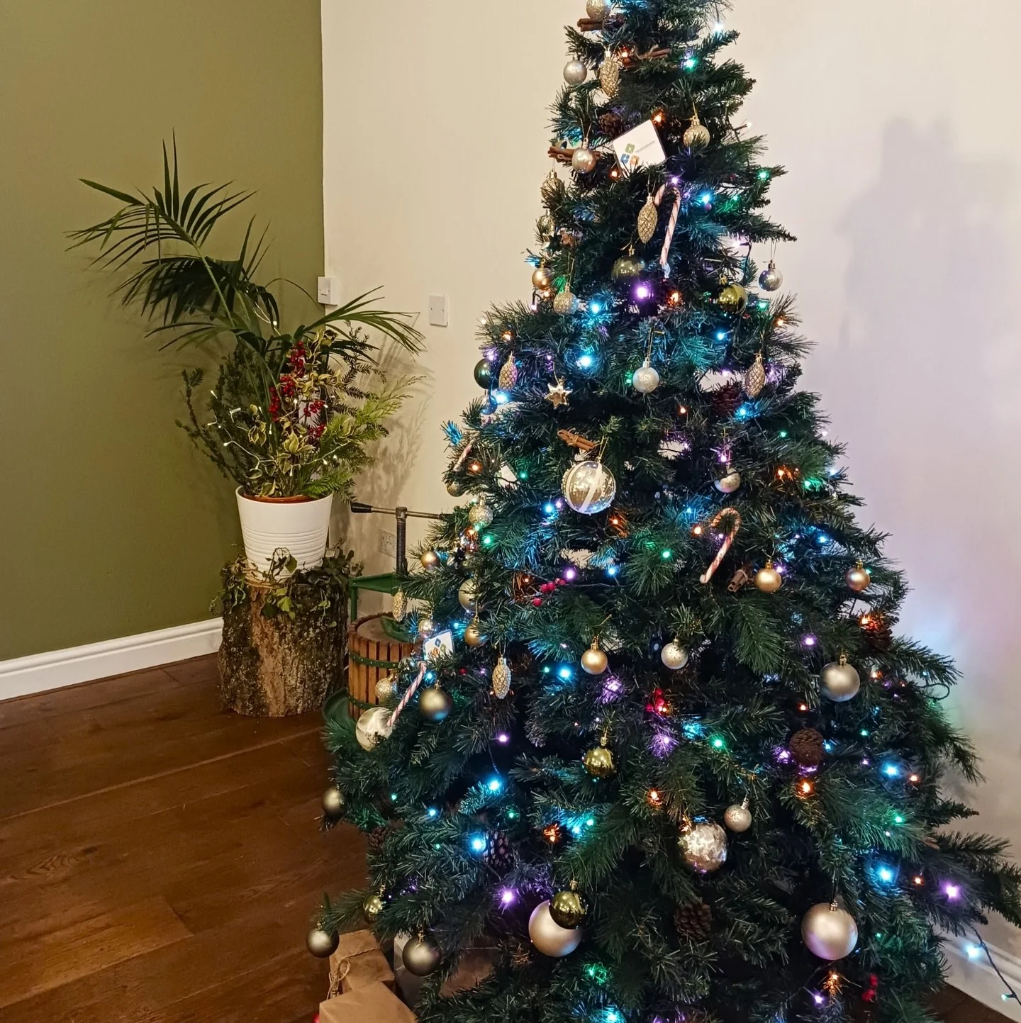 New Article: &lsquo;Exciting&rsquo; Growforward Project in North Devon

Today we&rsquo;ve heard more about The Growforward Project, based in Chesham Mill in North Devon. Our Community Development Lead for North Devon, Phil Harris, has been involved w