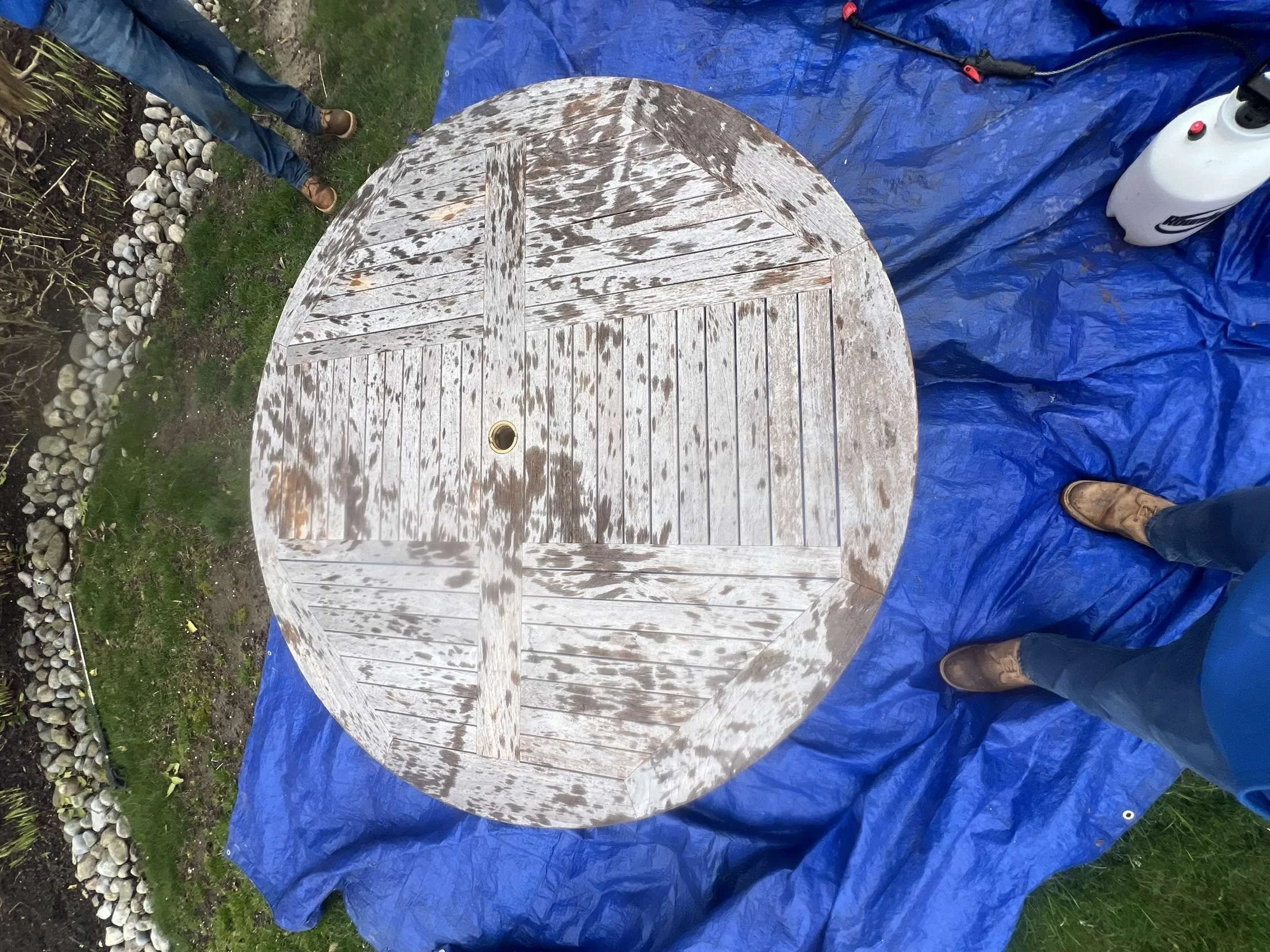image1 (9).jpeg
