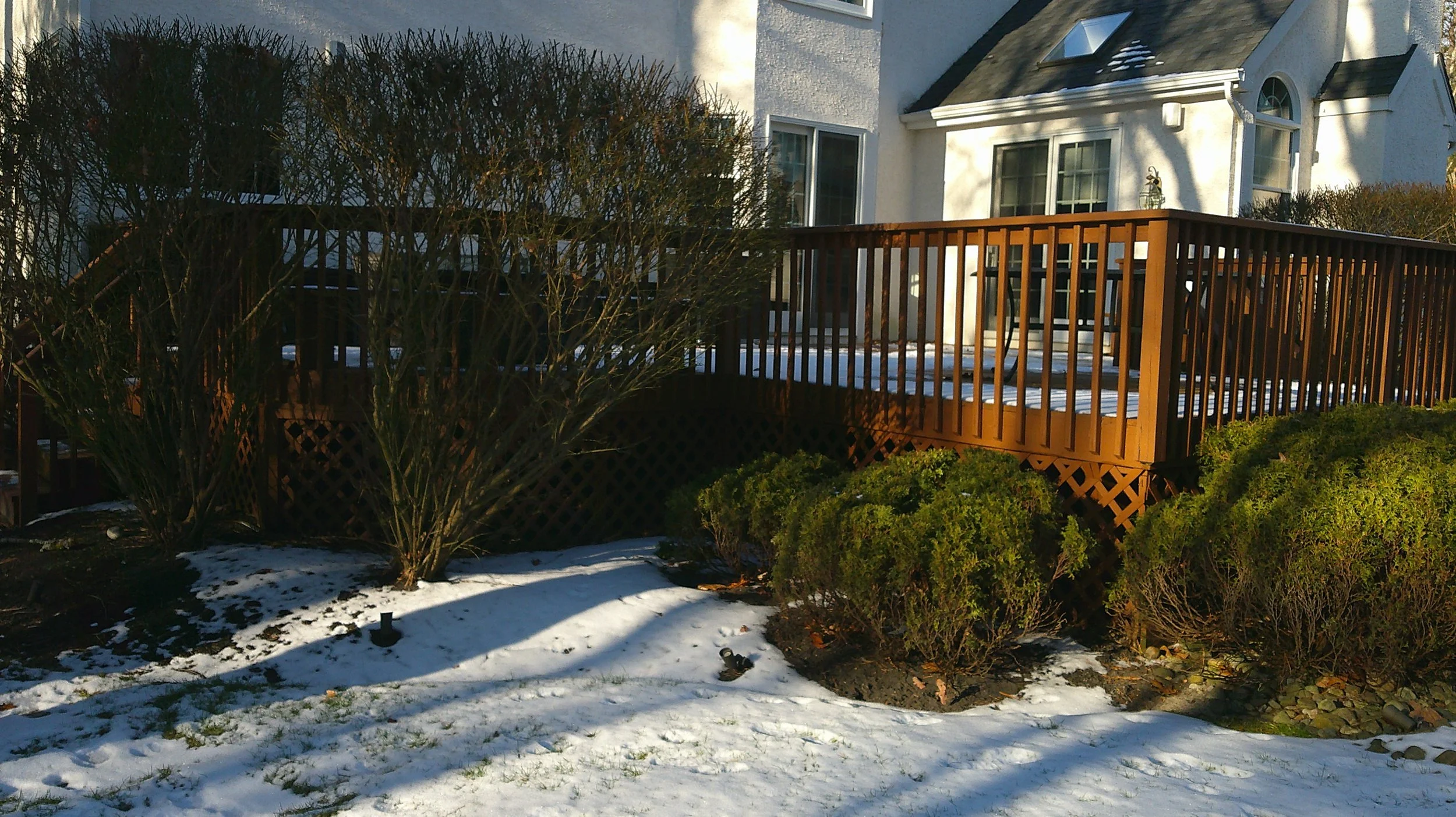 DSCF0220.JPG