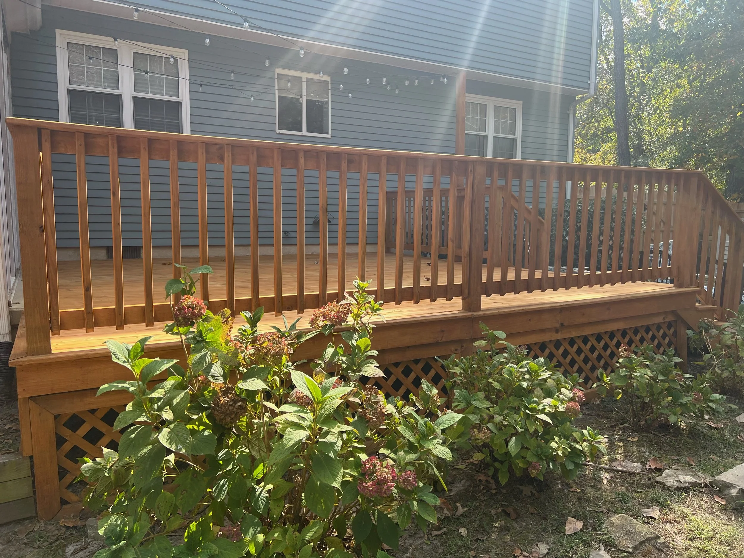 image2 (4).jpeg
